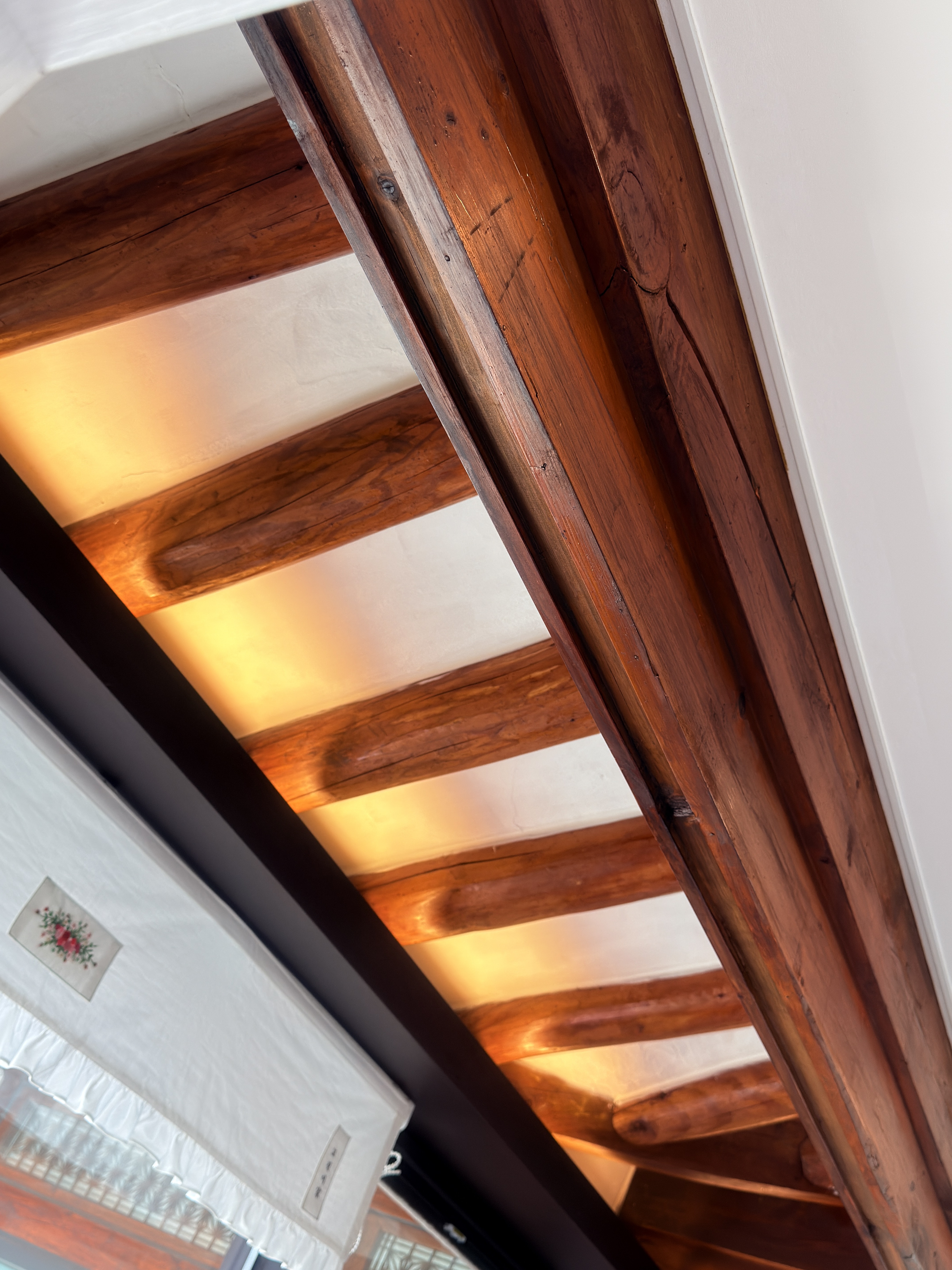 고진이가 대표 이미지