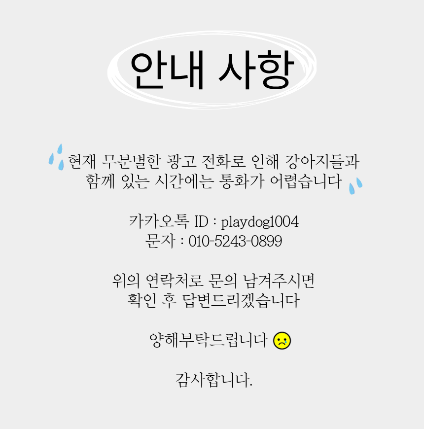 강아지야놀자 대표 이미지