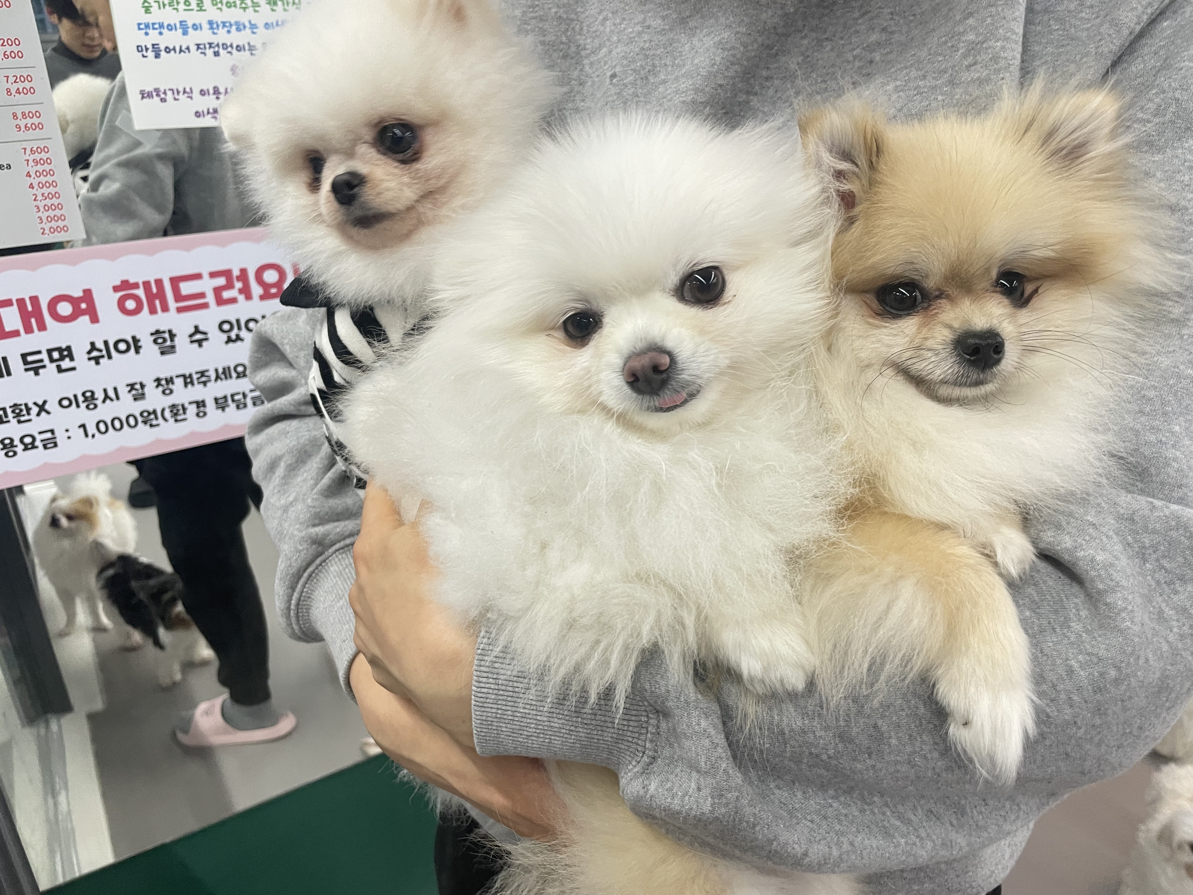 풀스테이스테이온가평 2
