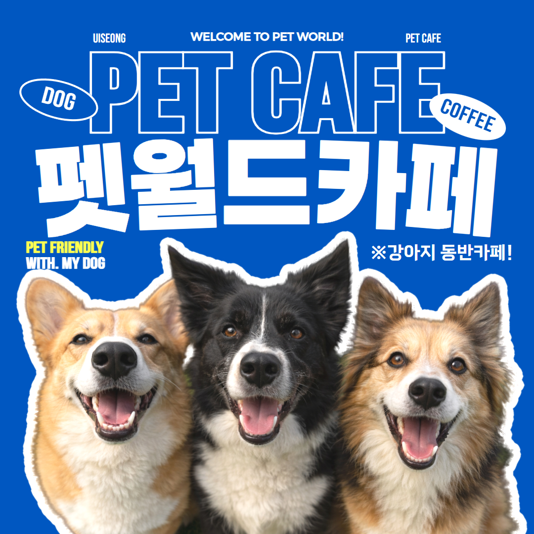 의성펫월드카페 경상 애견맛집