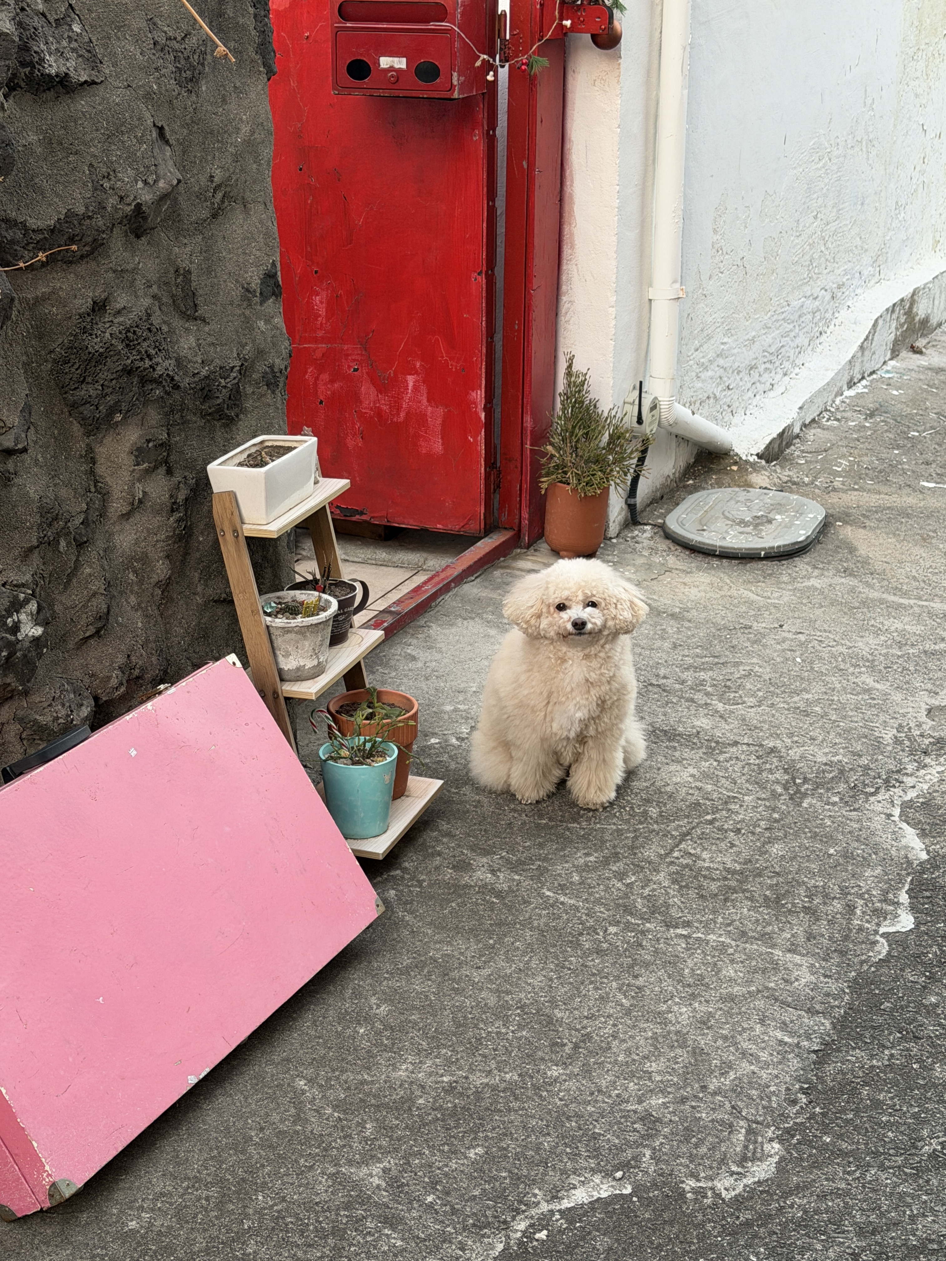 미미빈티지