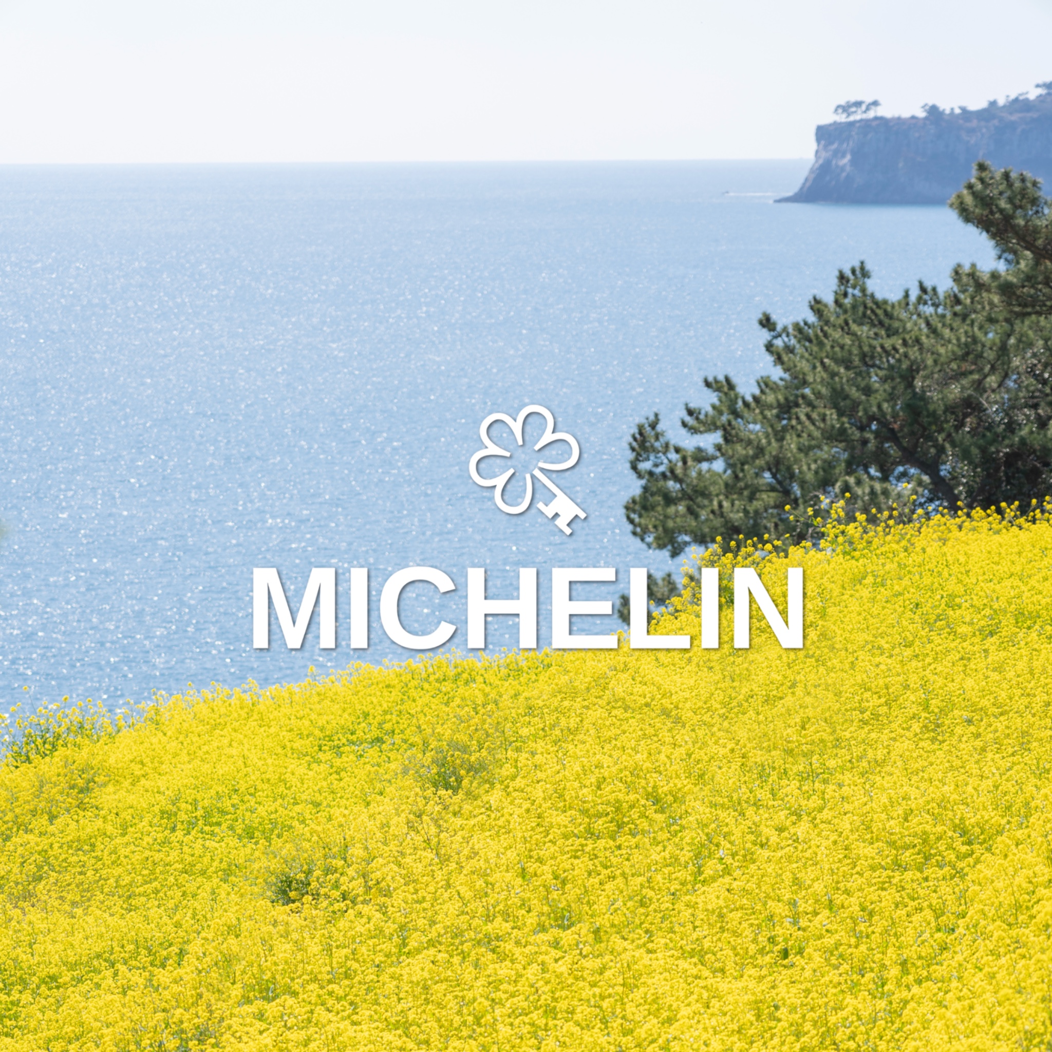 JW 메리어트 제주 댄싱두루미