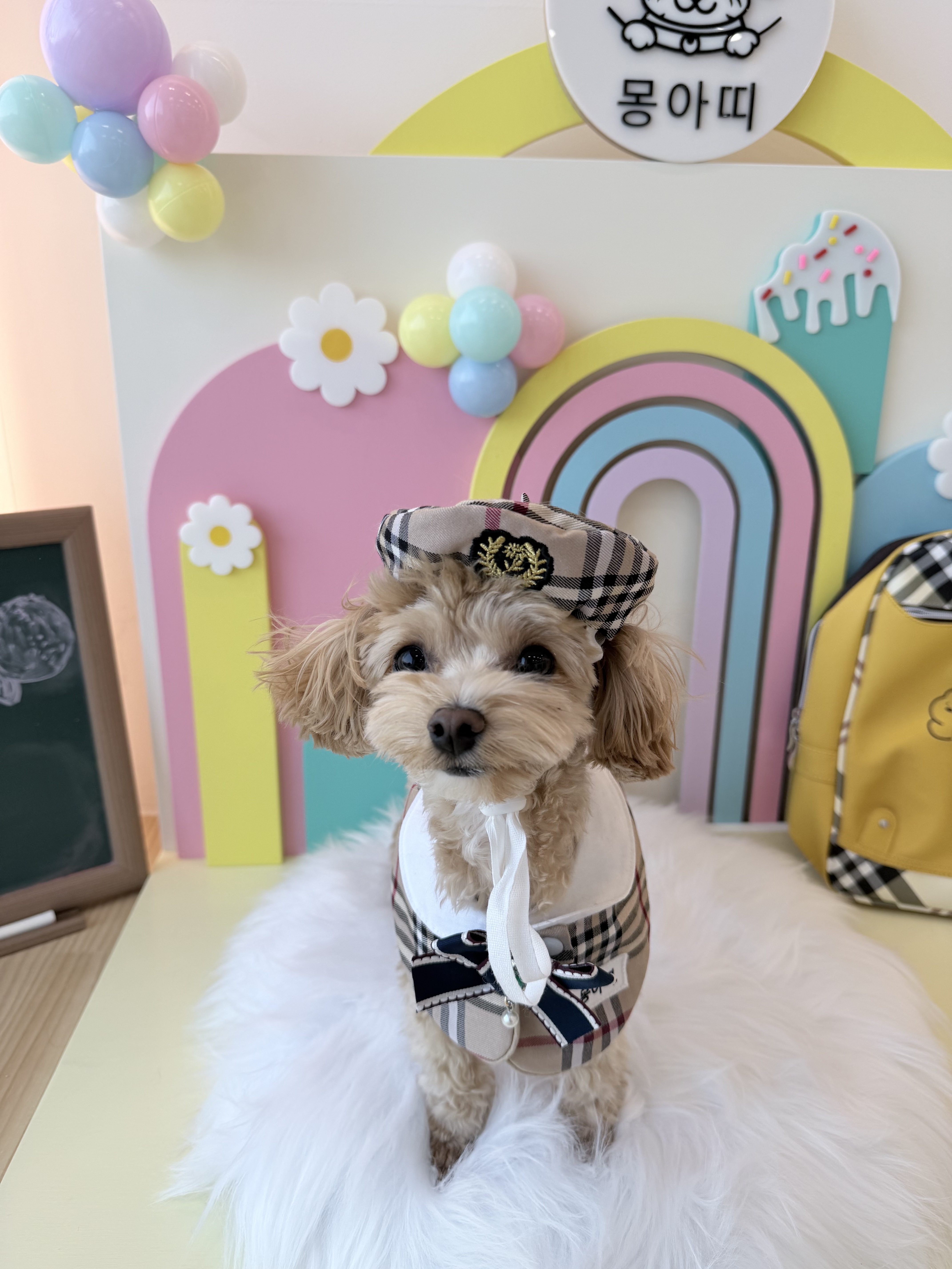 몽아띠 왕십리점 대표 이미지