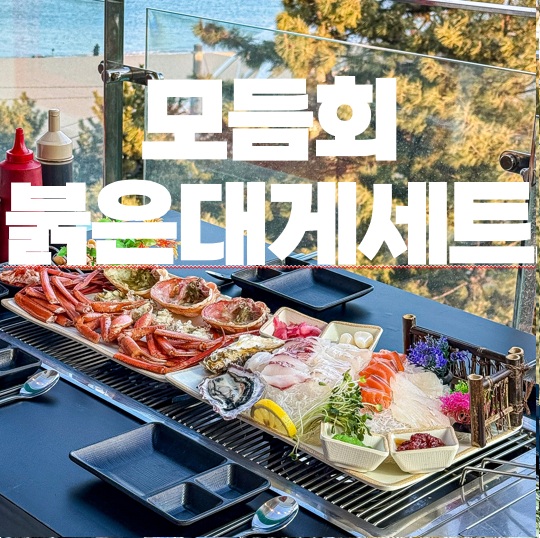 조개상회속초