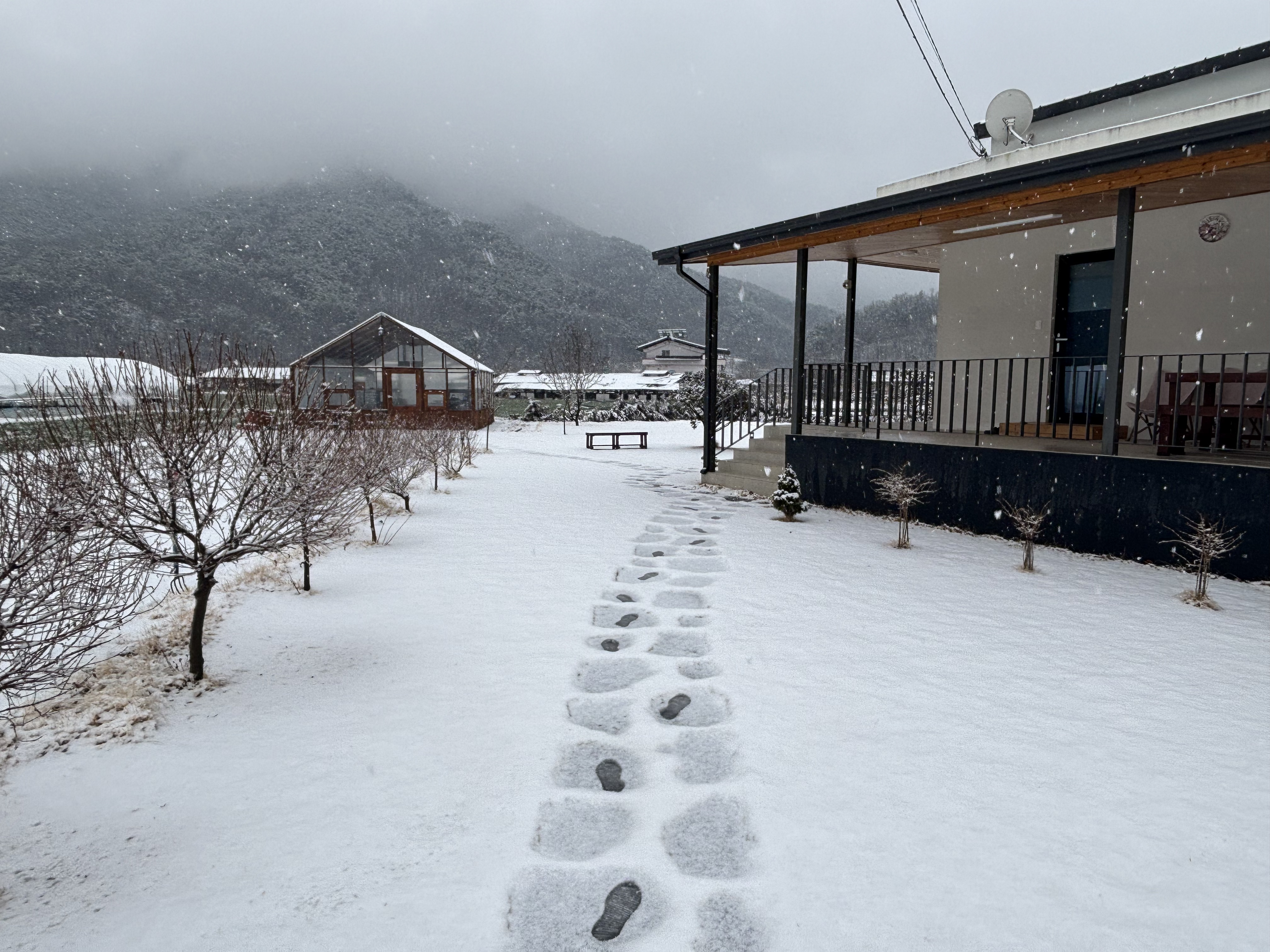 다온재 대표 이미지