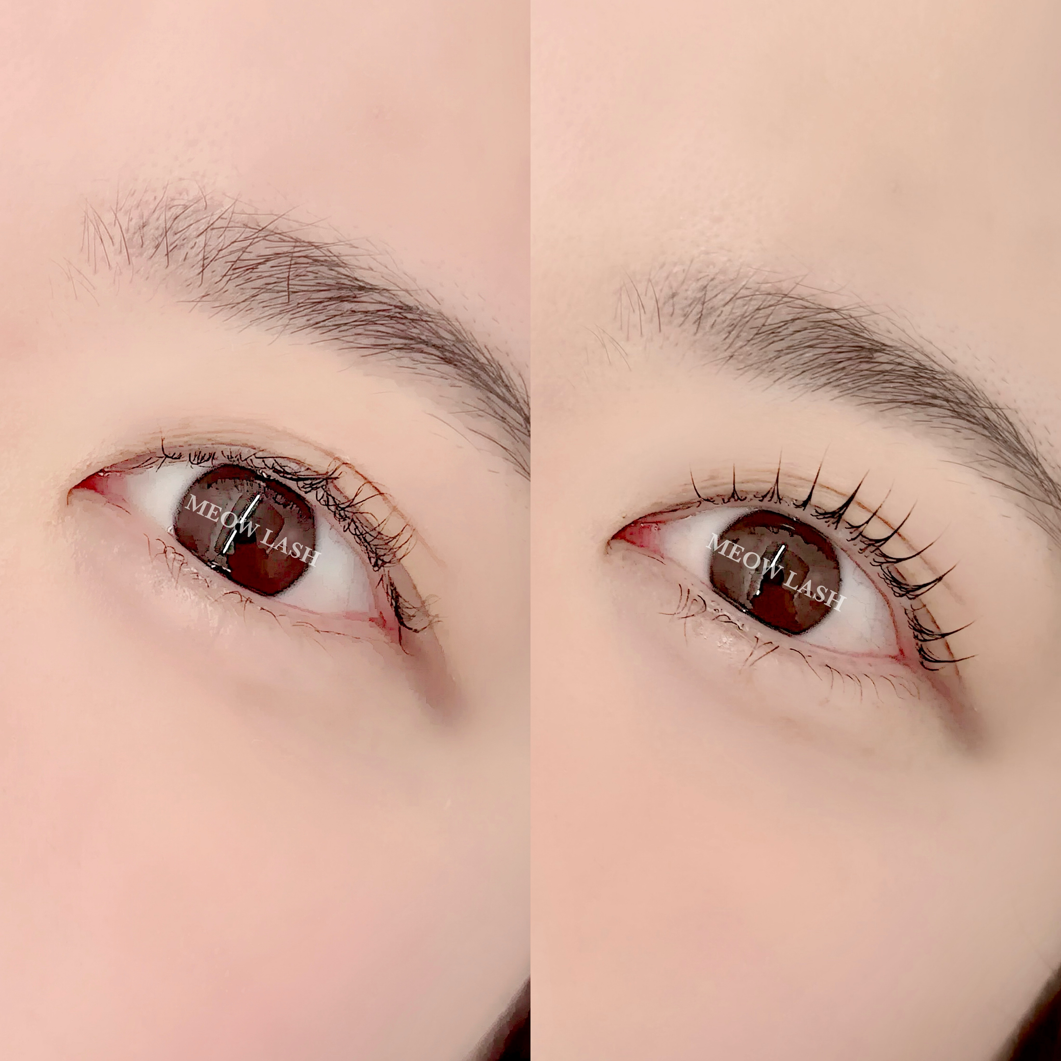 에스떼리 photo 5