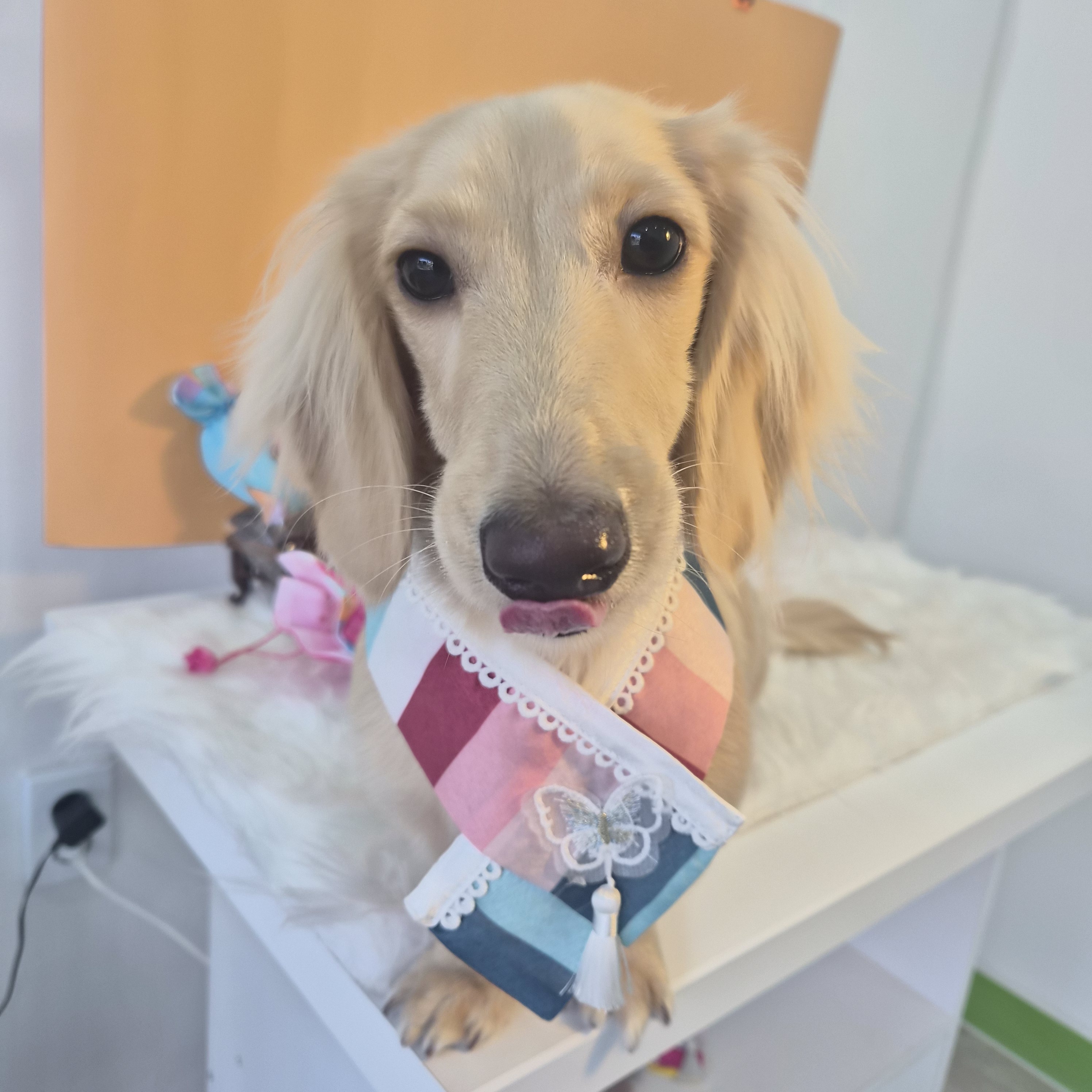 또비네 목욕탕 대표 이미지