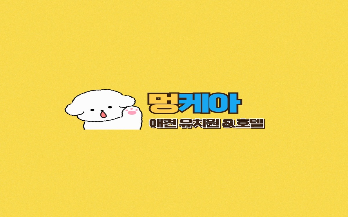 사진 2