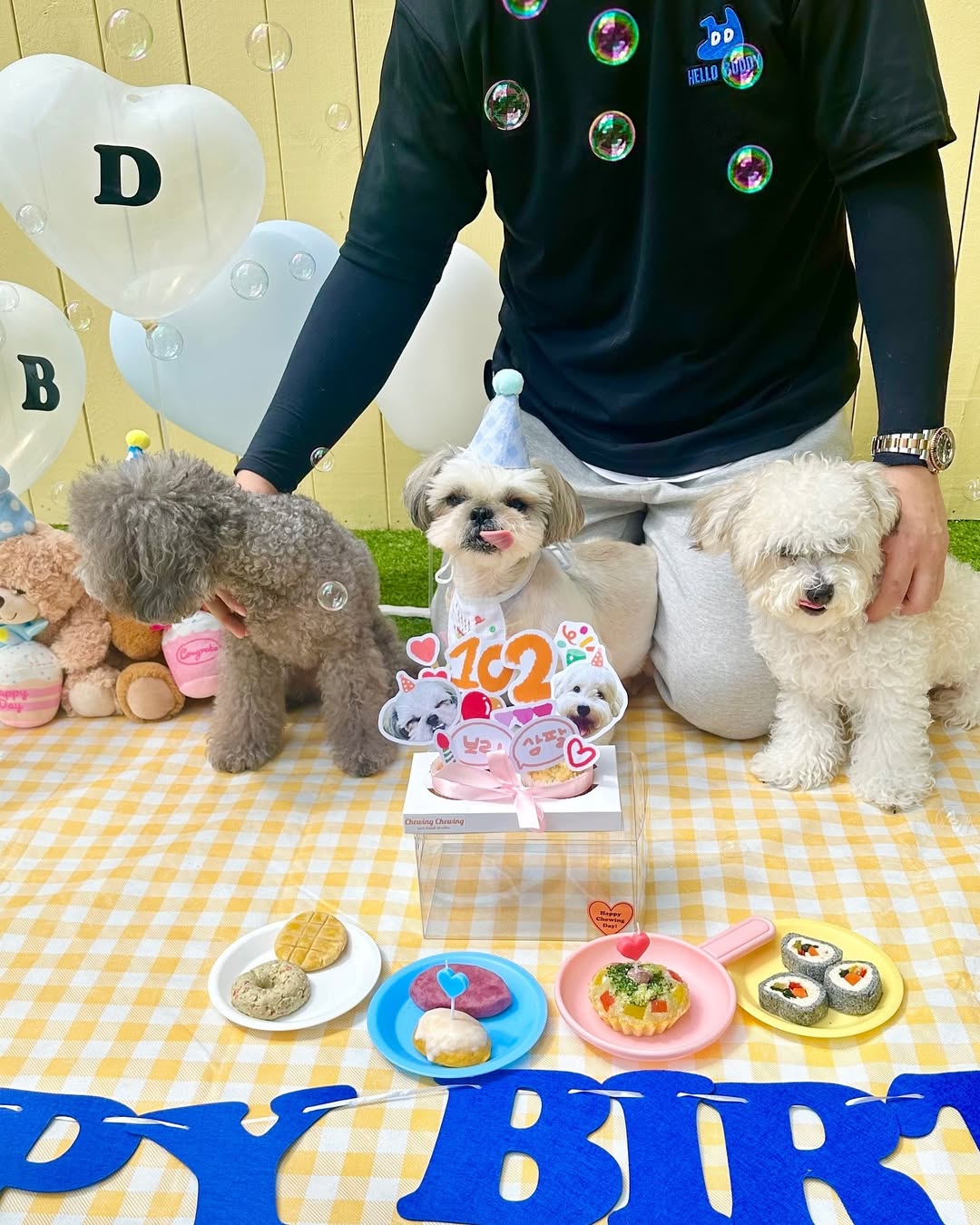 헬로우버디 대표 이미지