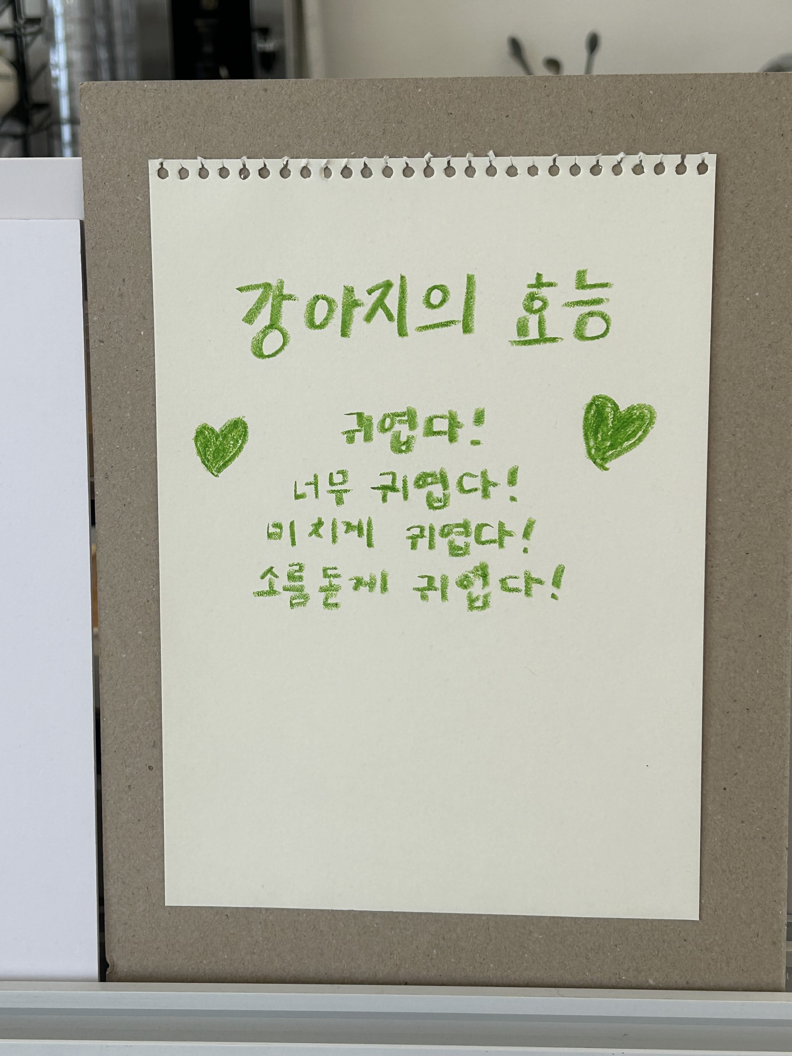 여수포펫 6