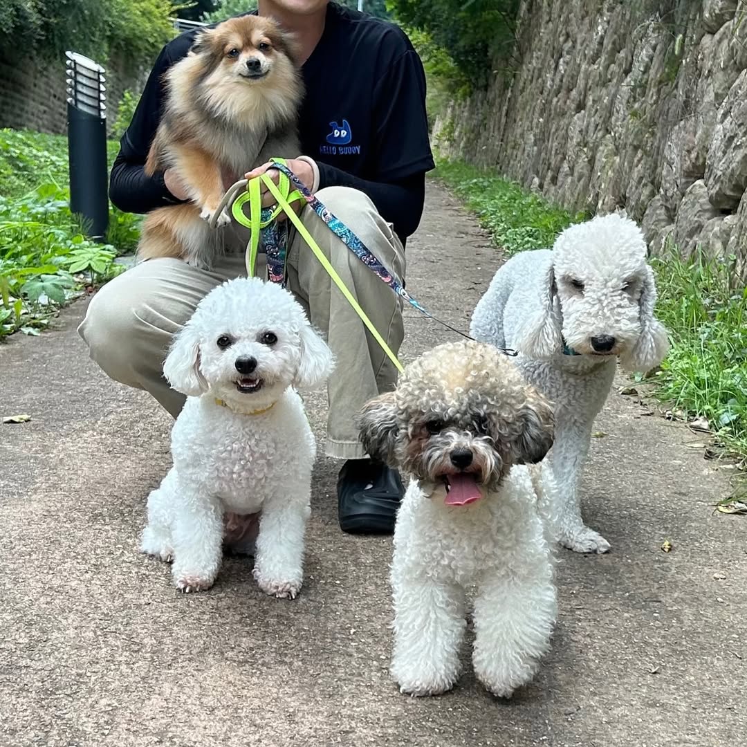 헬로우버디 성북점 대표 이미지