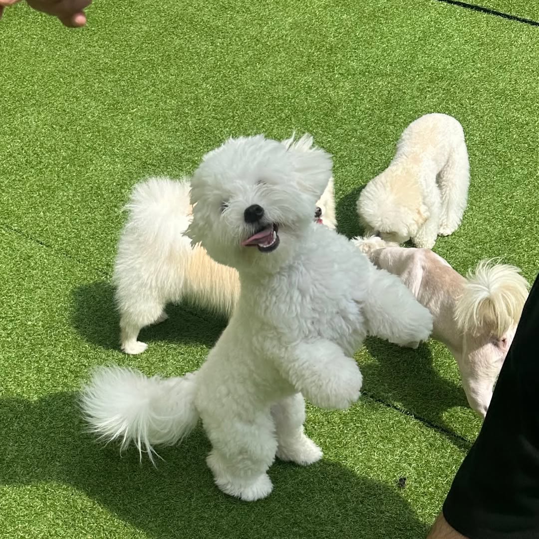 헬로우버디 성북점 대표 이미지