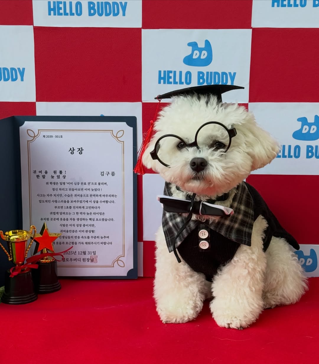헬로우버디 대표 이미지
