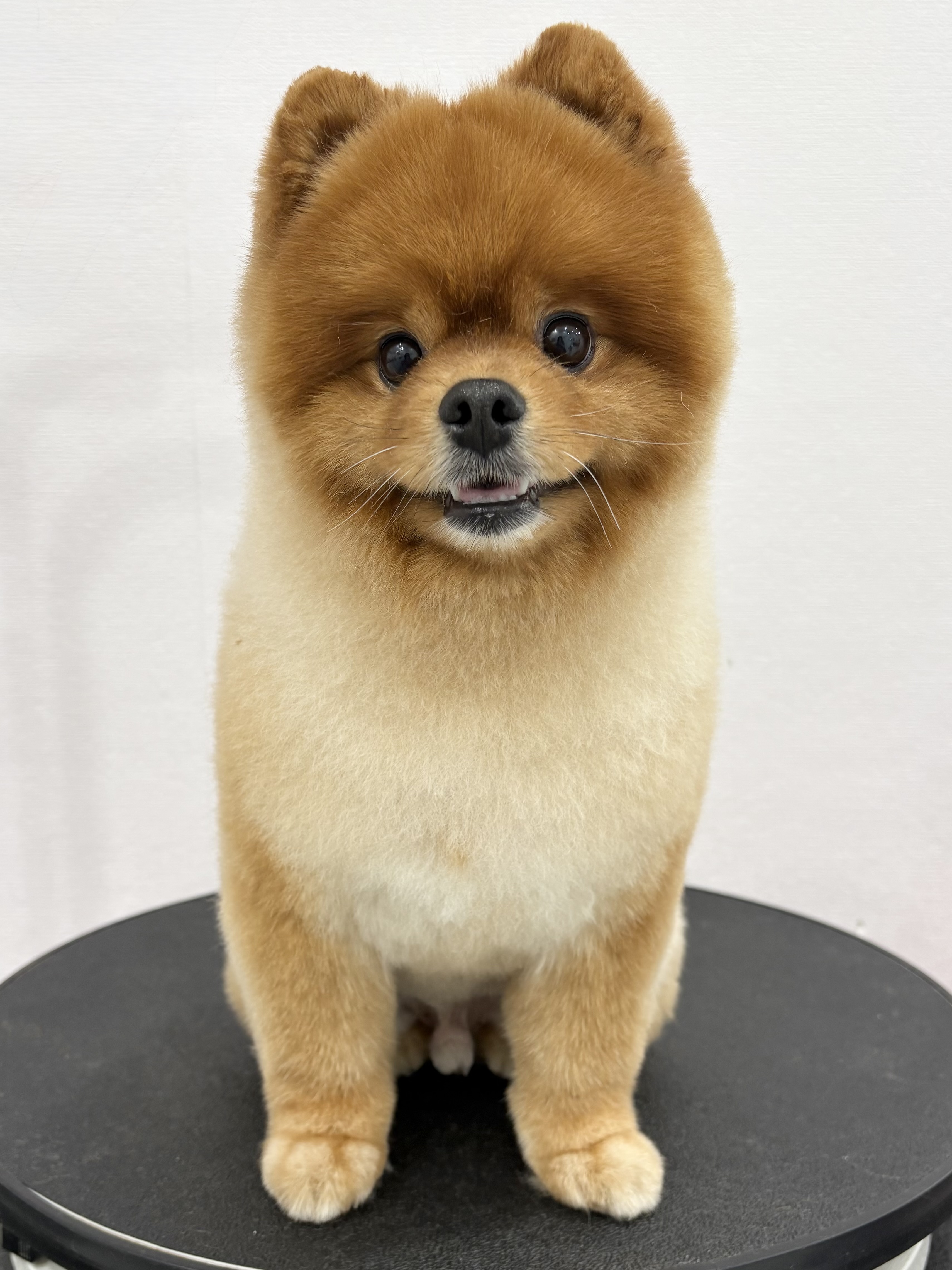놀러왕왕왕 대표 이미지