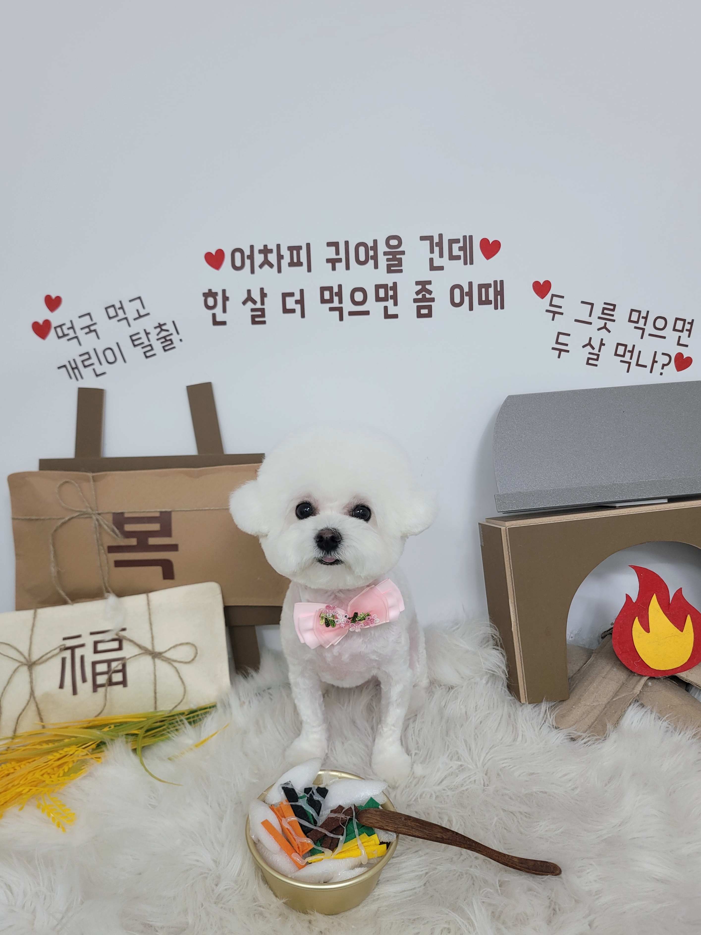 멍야옹실 대표 이미지