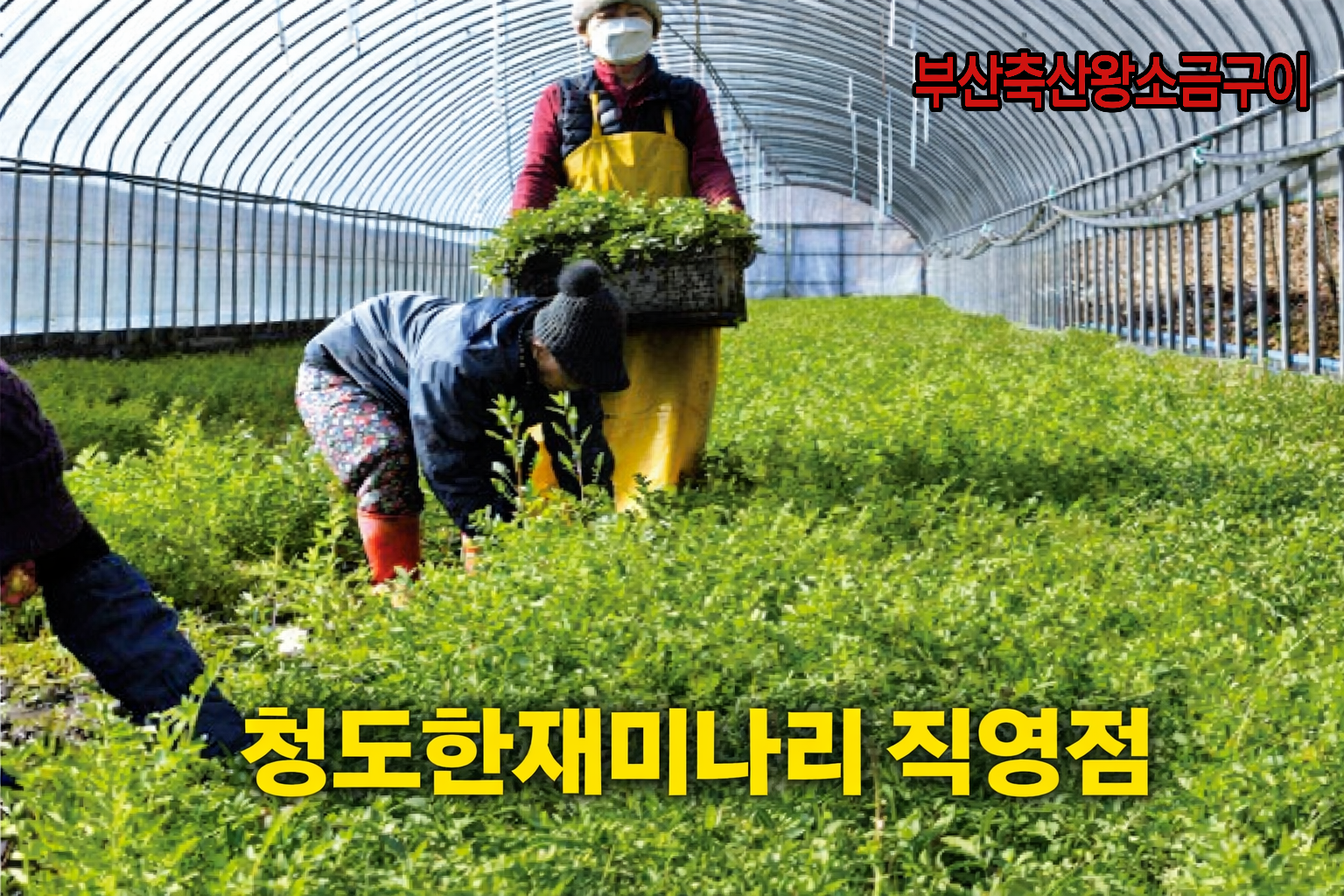 부산축산왕소금구이