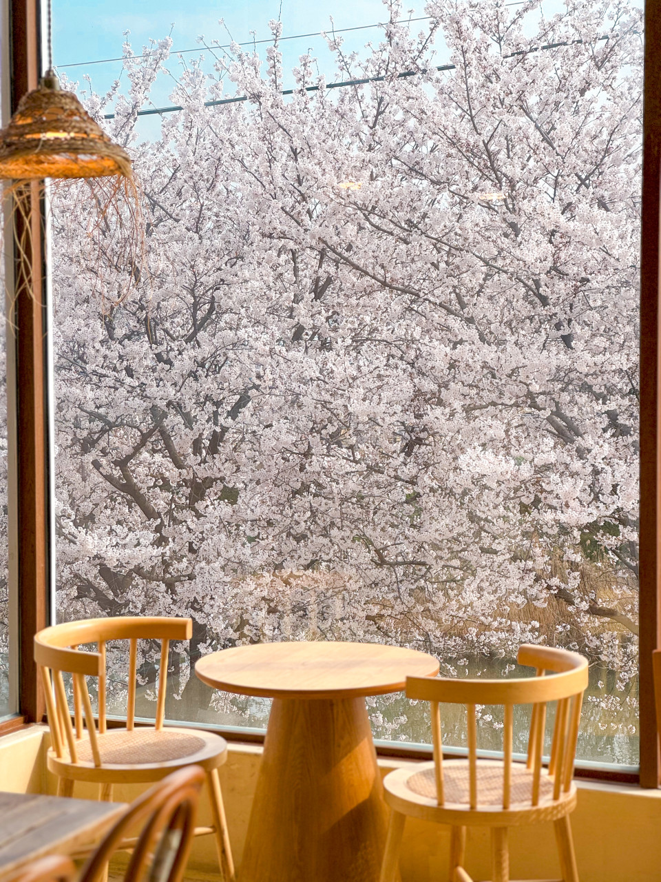 도나스데이 본점