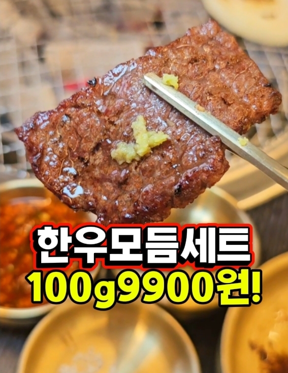 고기요기 경기 애견맛집