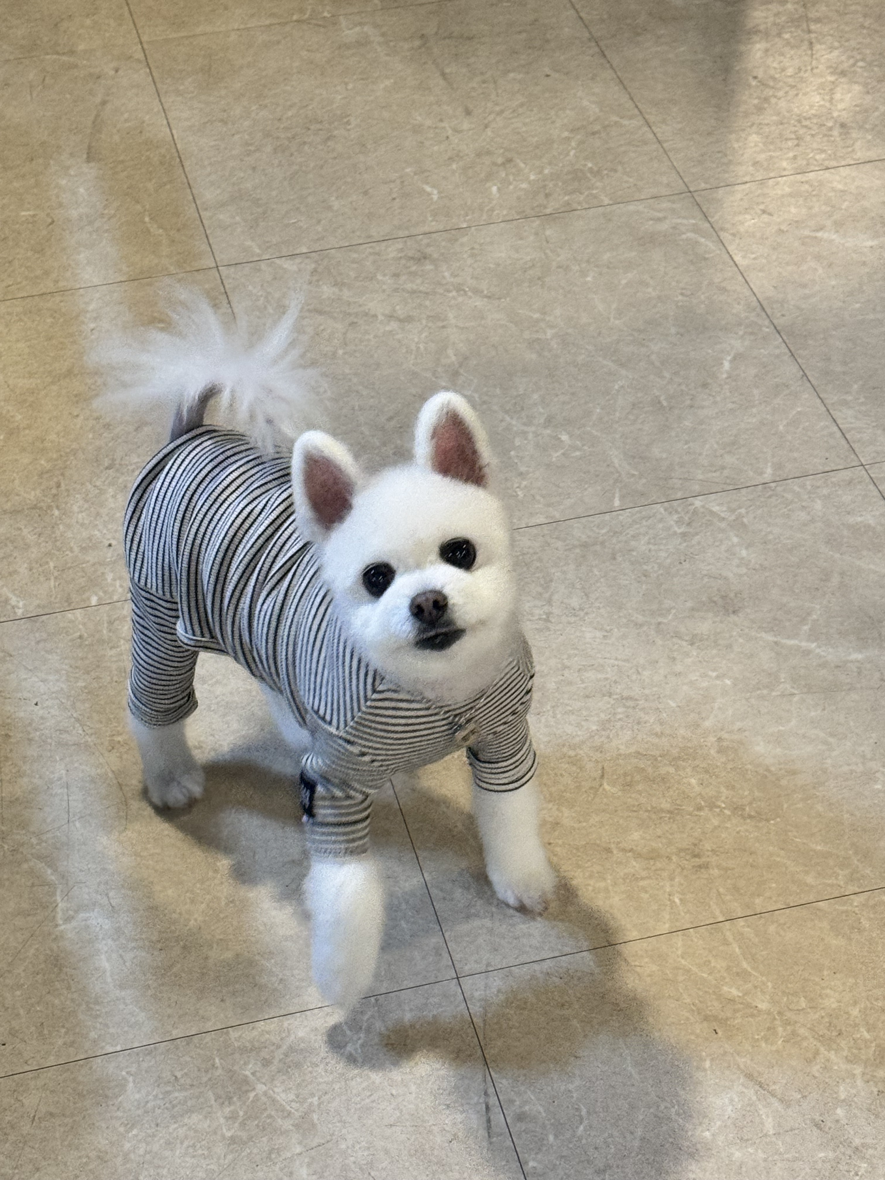 라스트32 4
