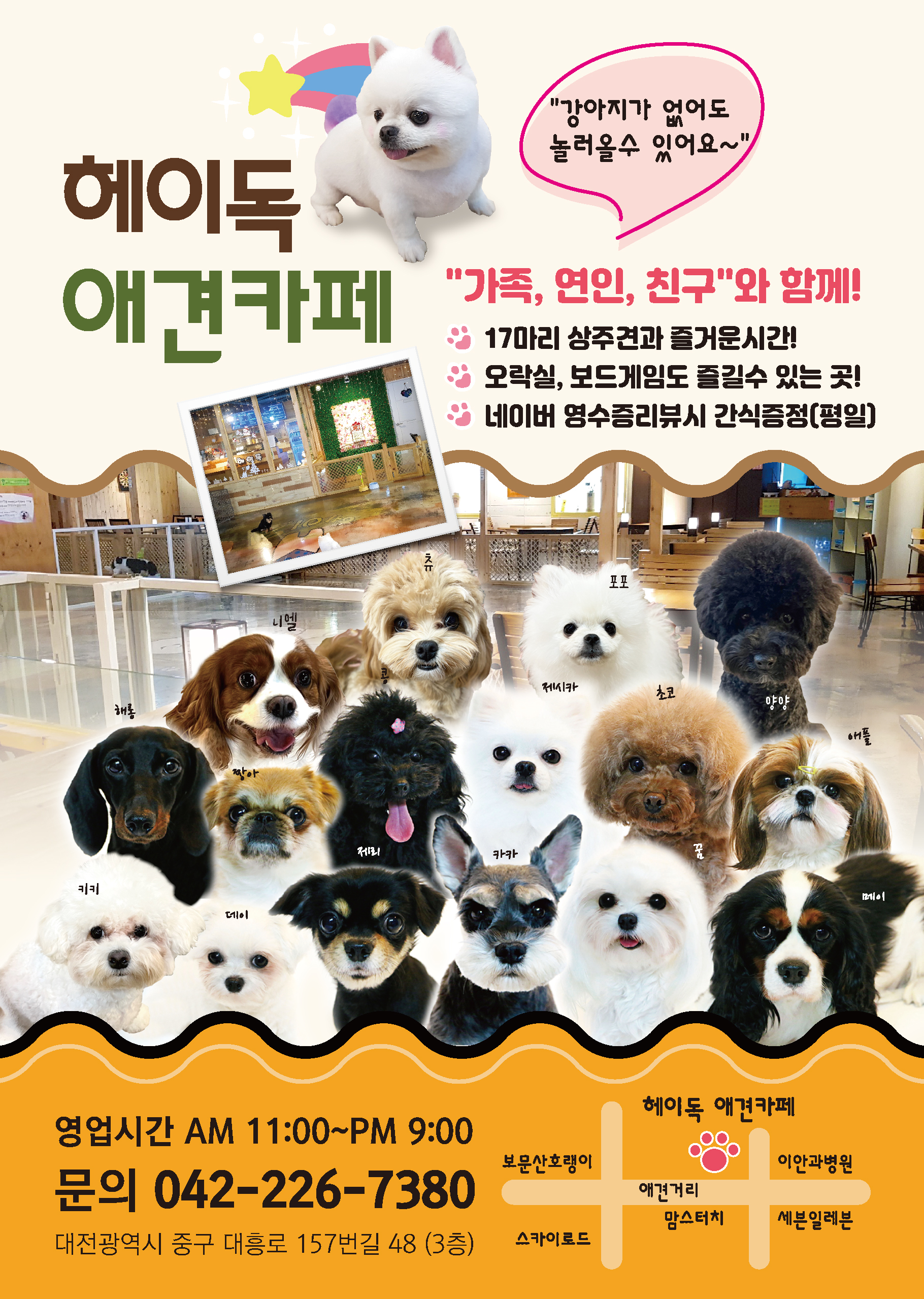 헤이독 대전점 대전 중구 애견카페