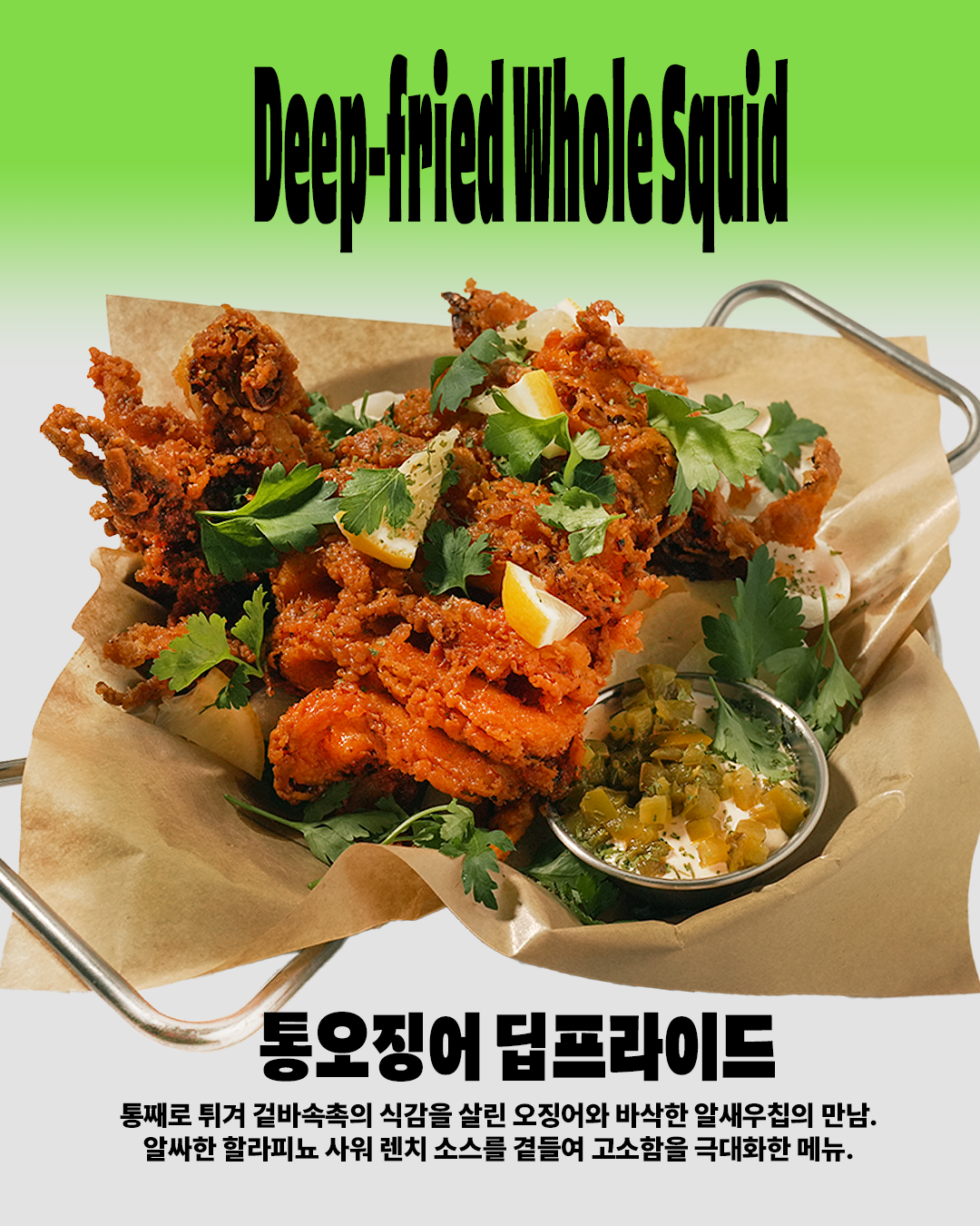 우주파 디유니버스웨이브 제주 애견맛집