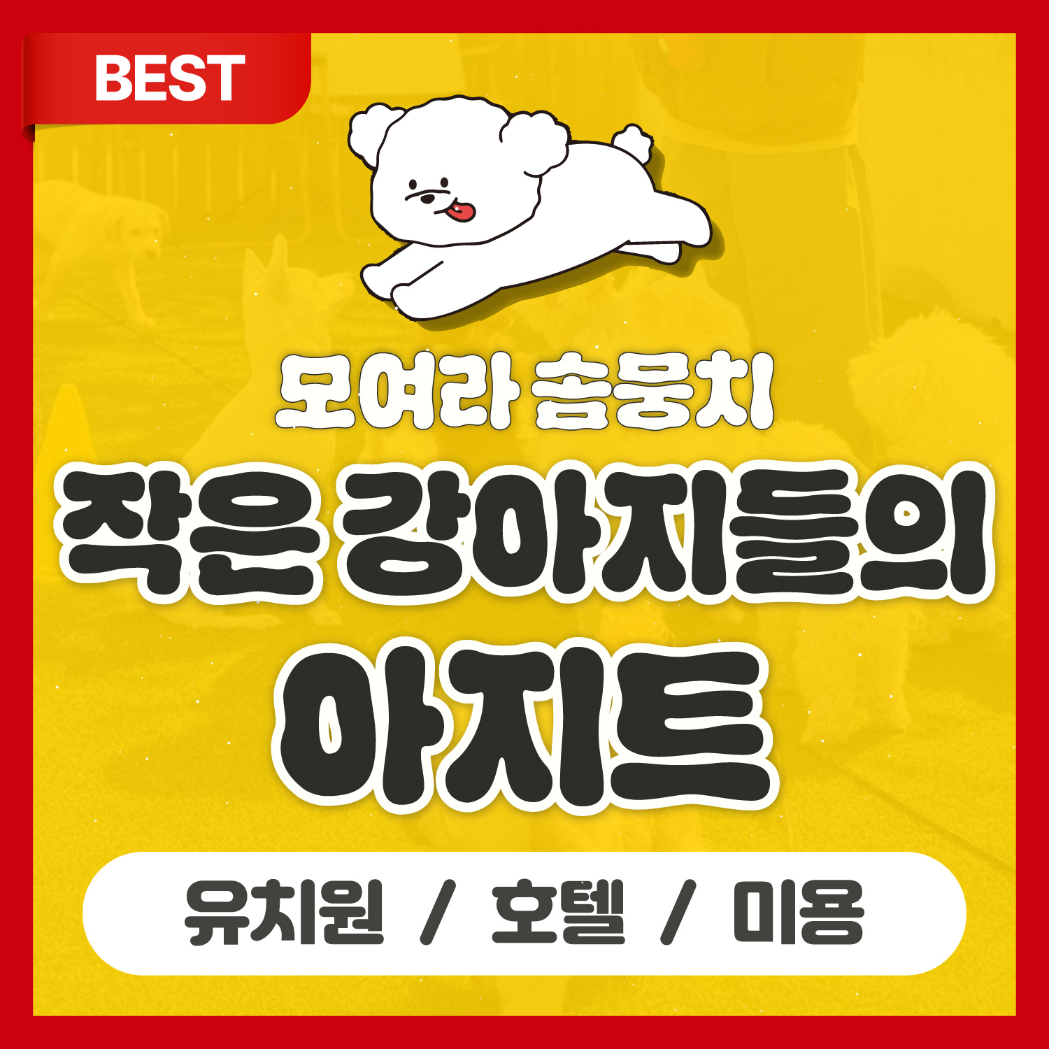 가나안국수 반려동물 동반 애견카페