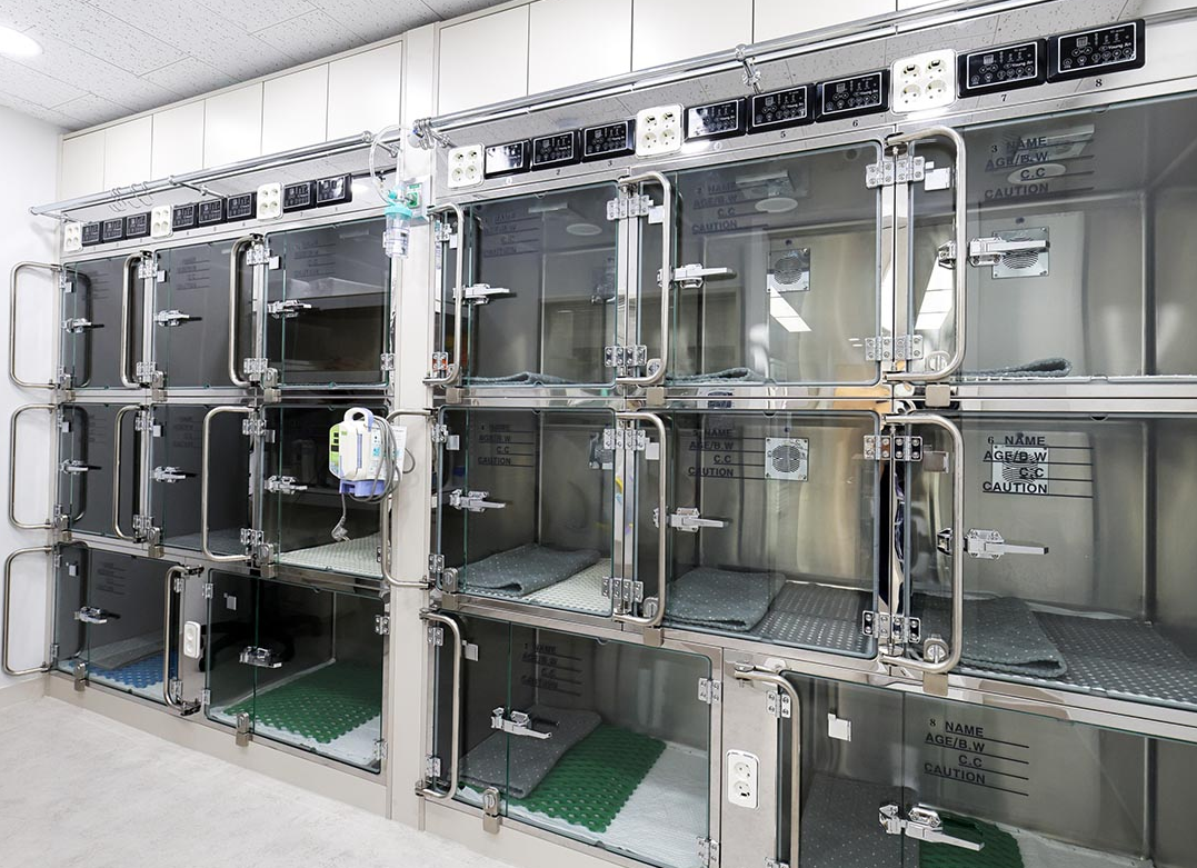 가디언 비뇨기 동물병원