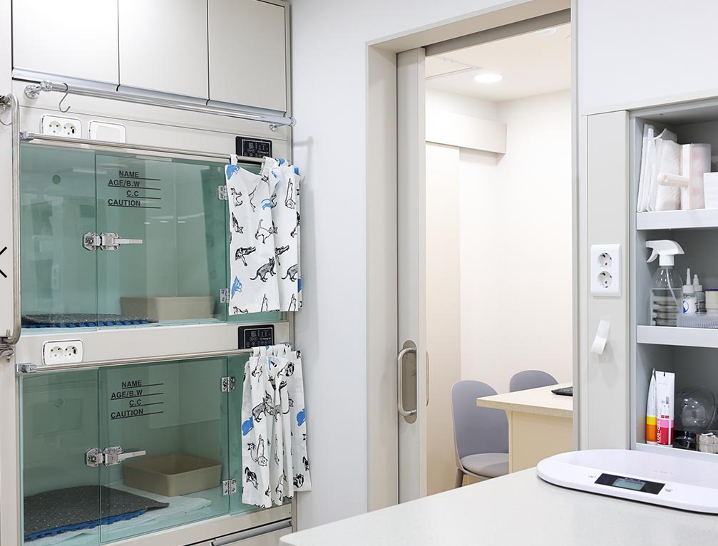 가디언 비뇨기 동물병원