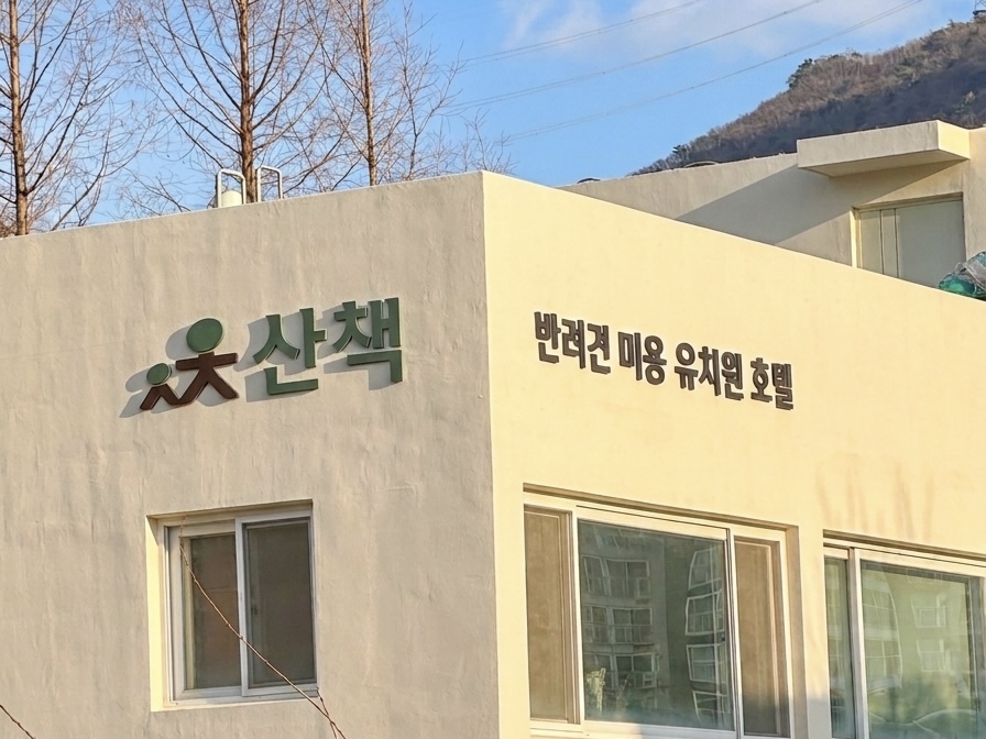 산책 애견미용 유치원 호텔
