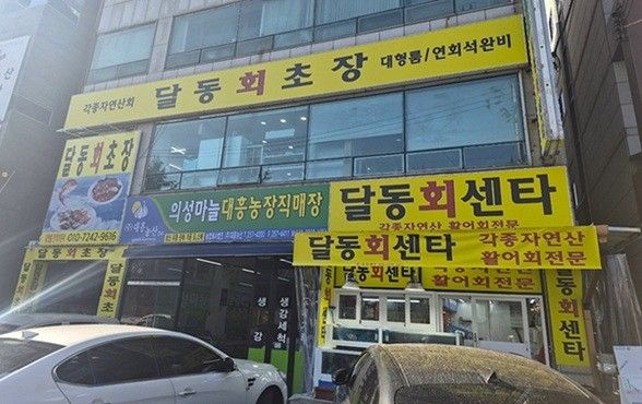 달동초장
