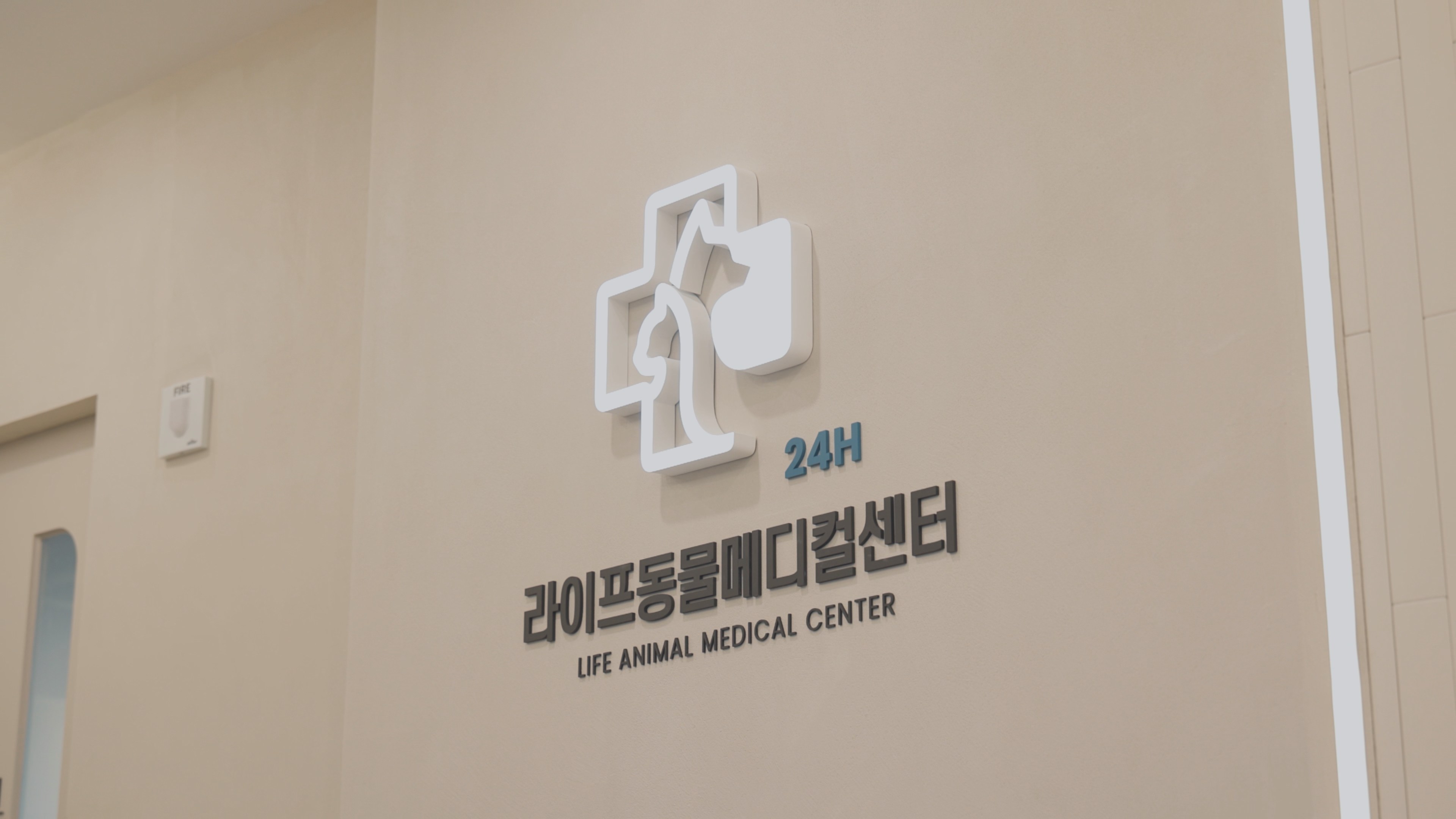 24시라이프동물메디컬센터 사진 6