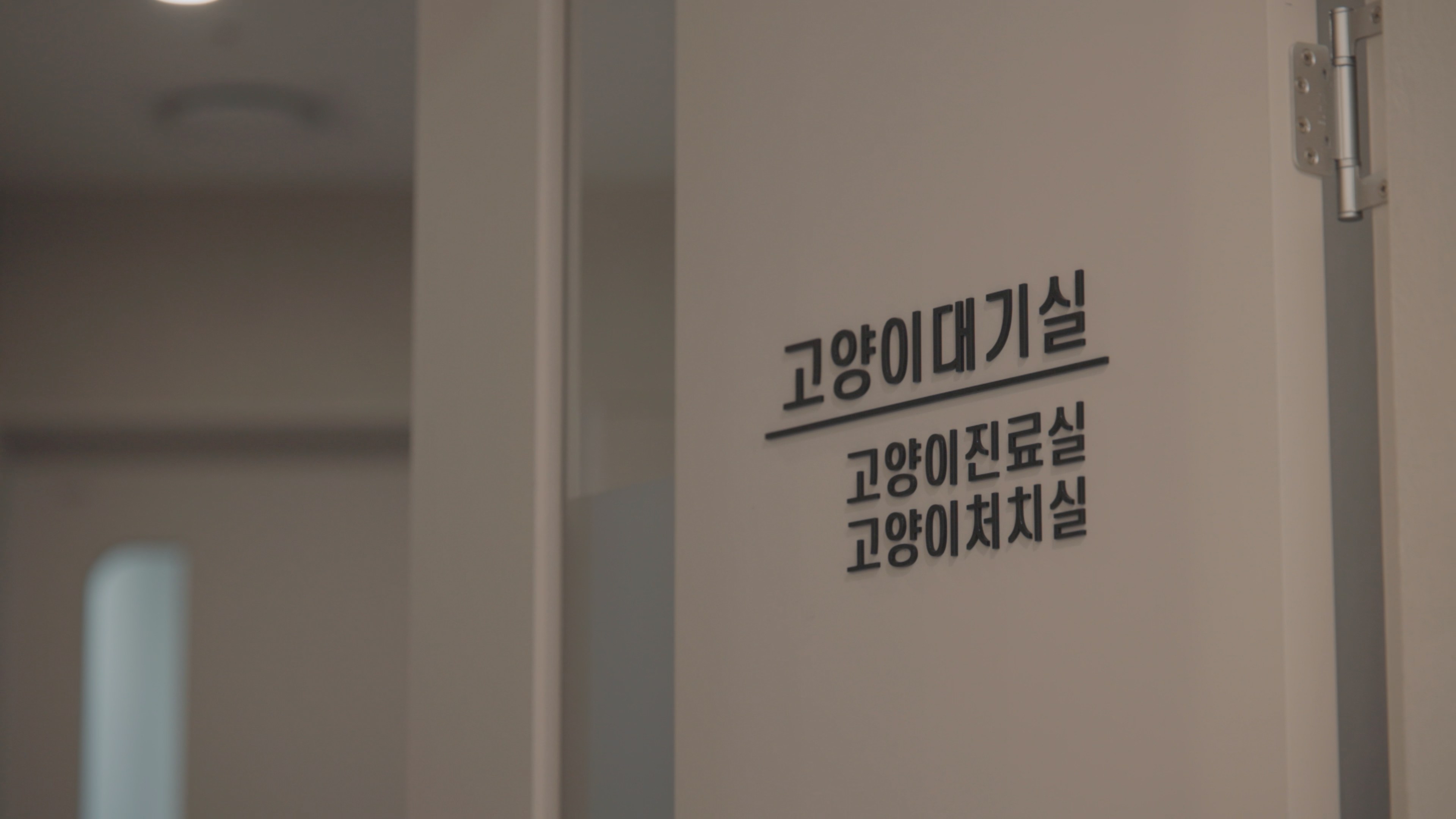 24시라이프동물메디컬센터 사진 11