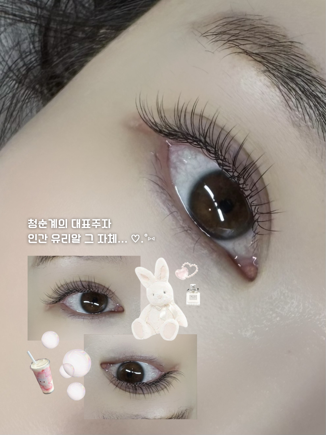 레드문뷰티 서울 애견맛집