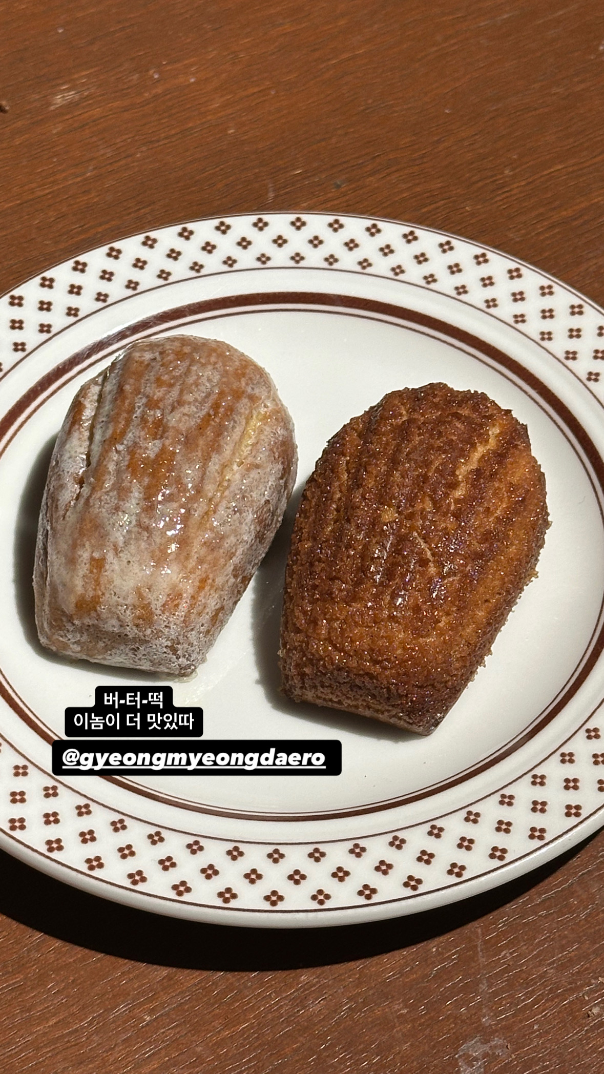 카페경명대로 인천 애견카페