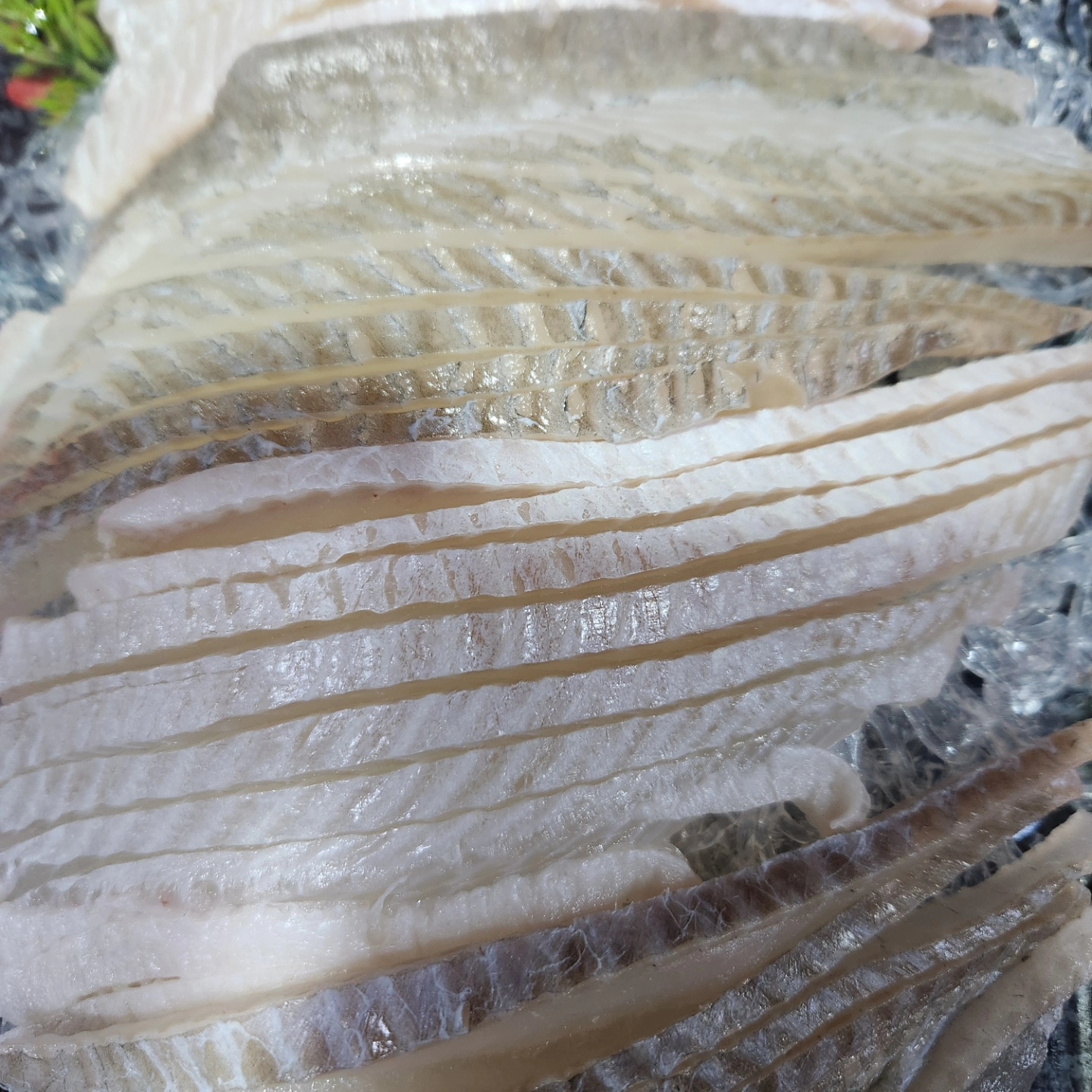 연안활어해물포차