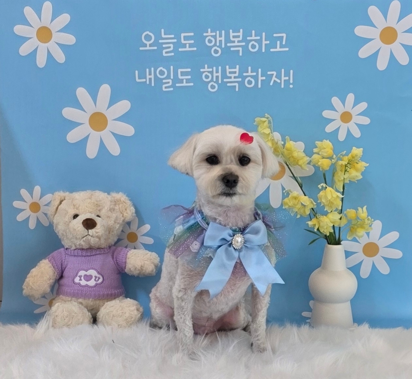 미소짓개 대표 이미지