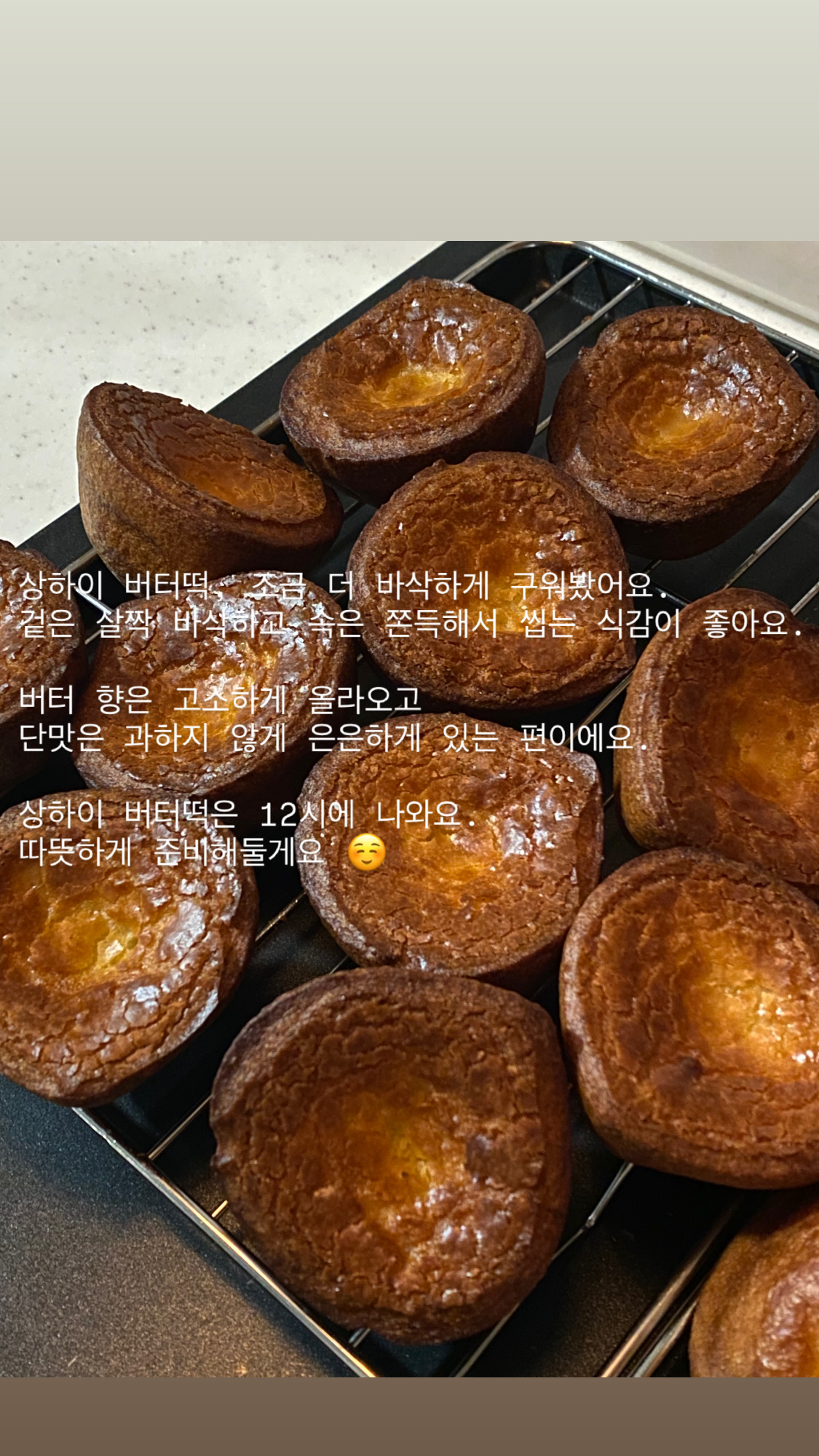카페그곳에 반려동물 동반 애견카페