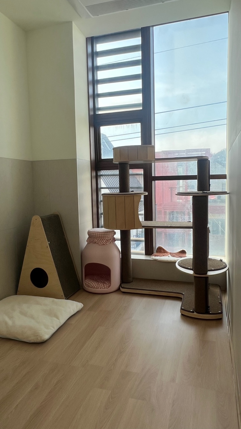 우연히캣 대표 이미지