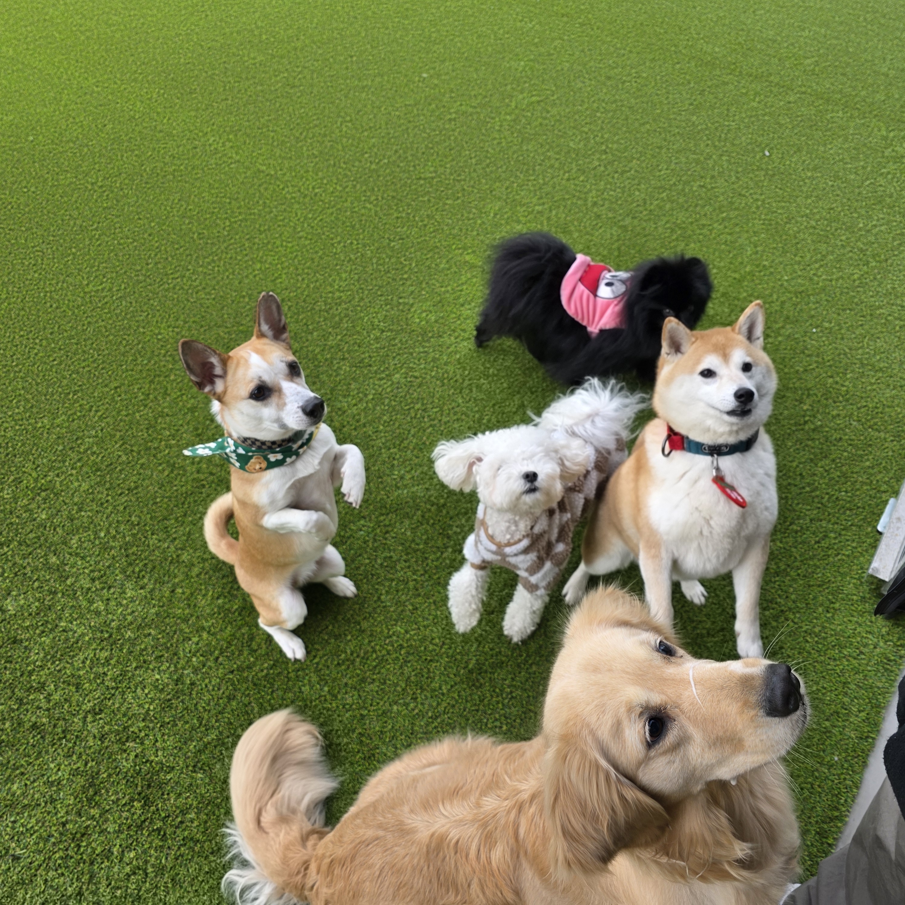 리리펫호텔 대표 이미지