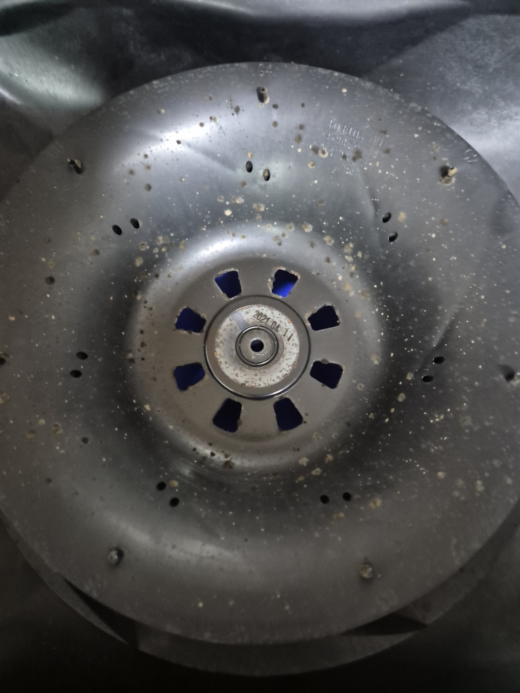 금손클리닝 이미지