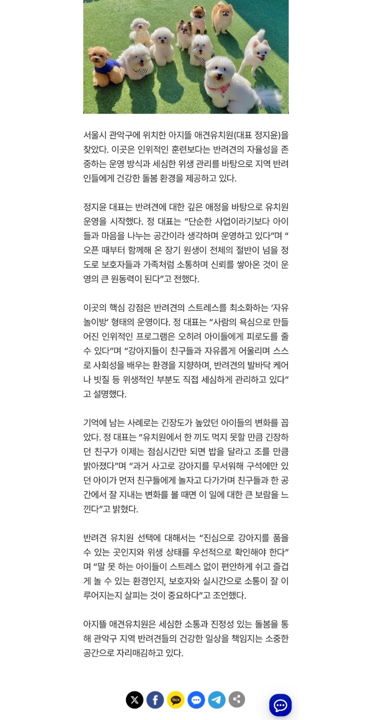 아지뜰 애견유치원 대표 이미지
