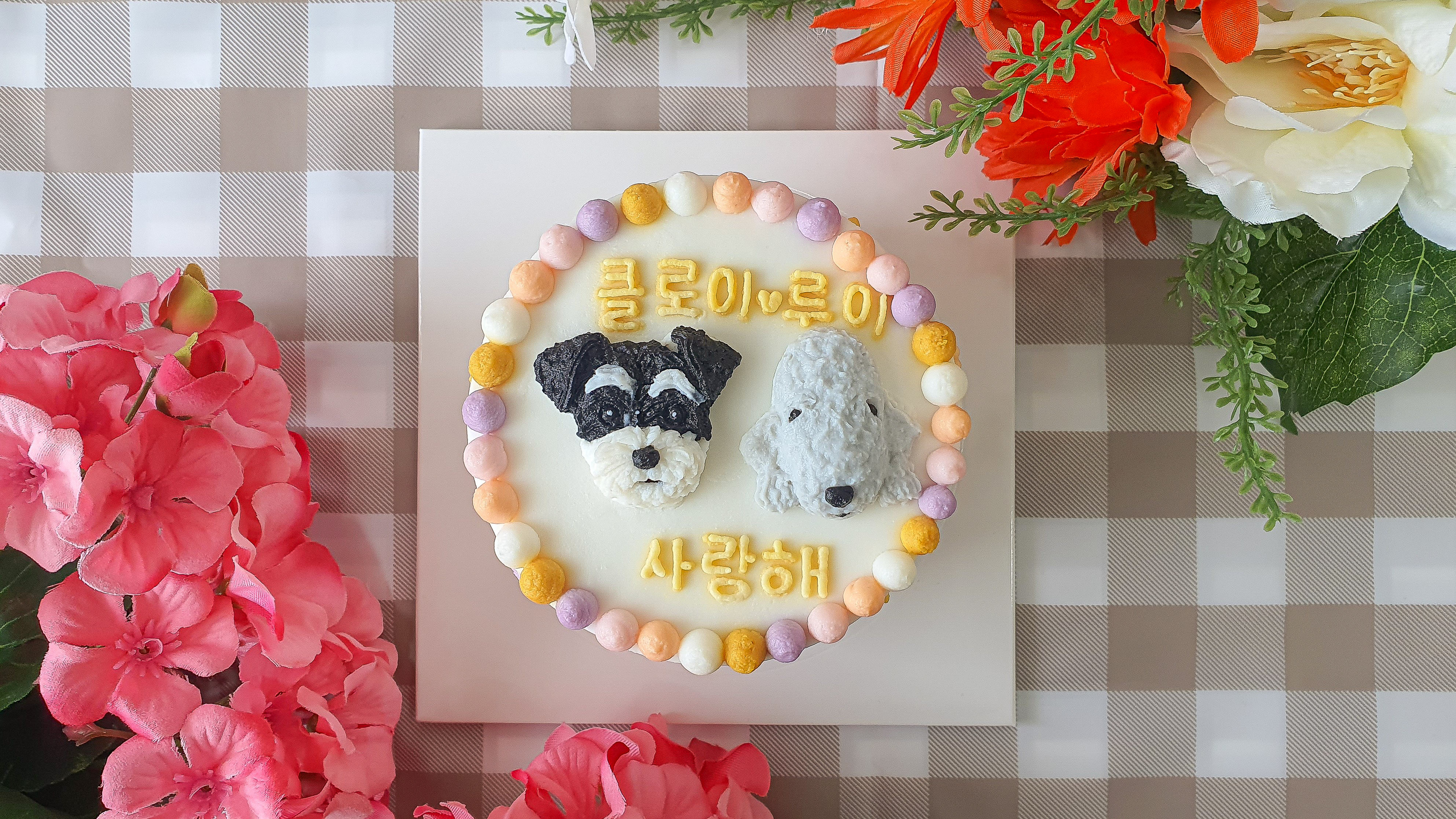 한국반려동물아카데미 대표 이미지