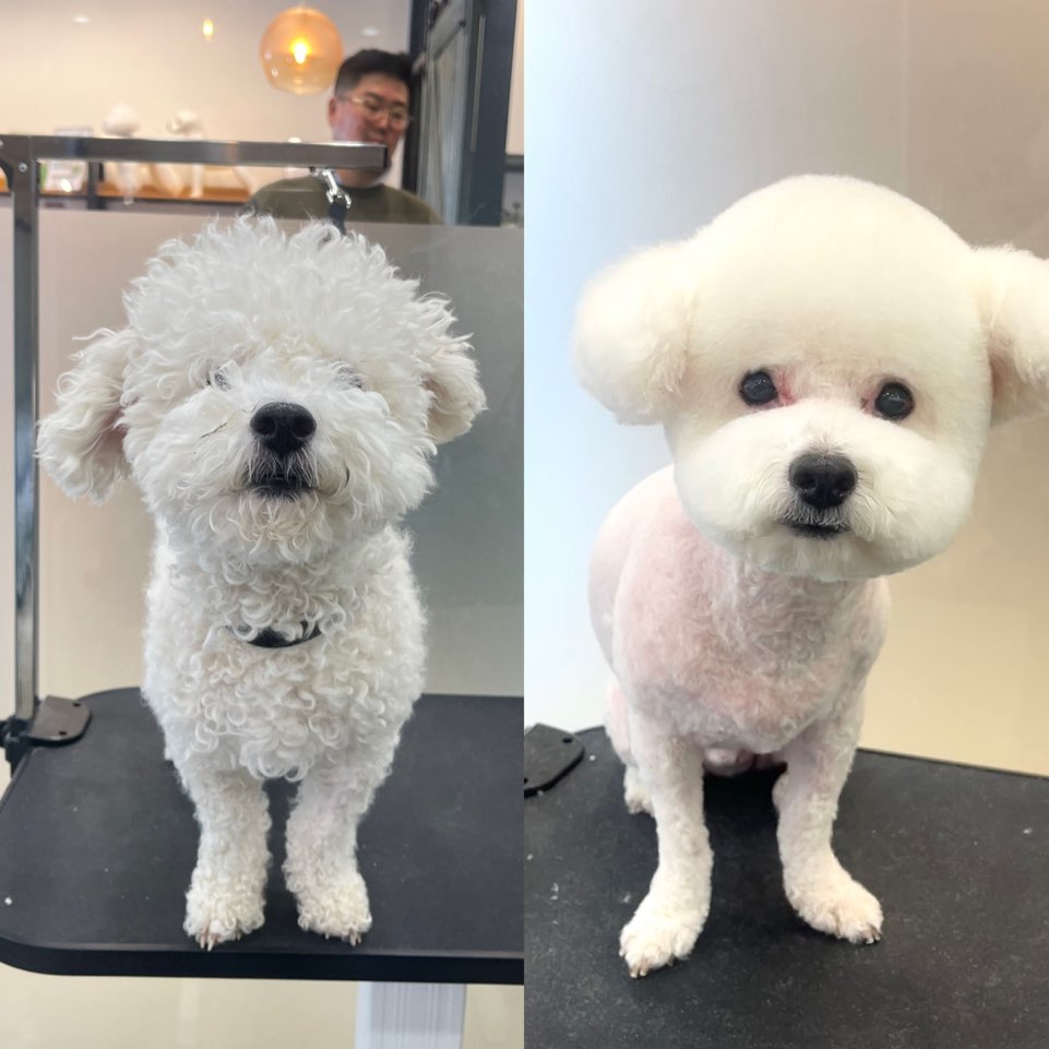 펫바스로 동탄본점 대표 이미지