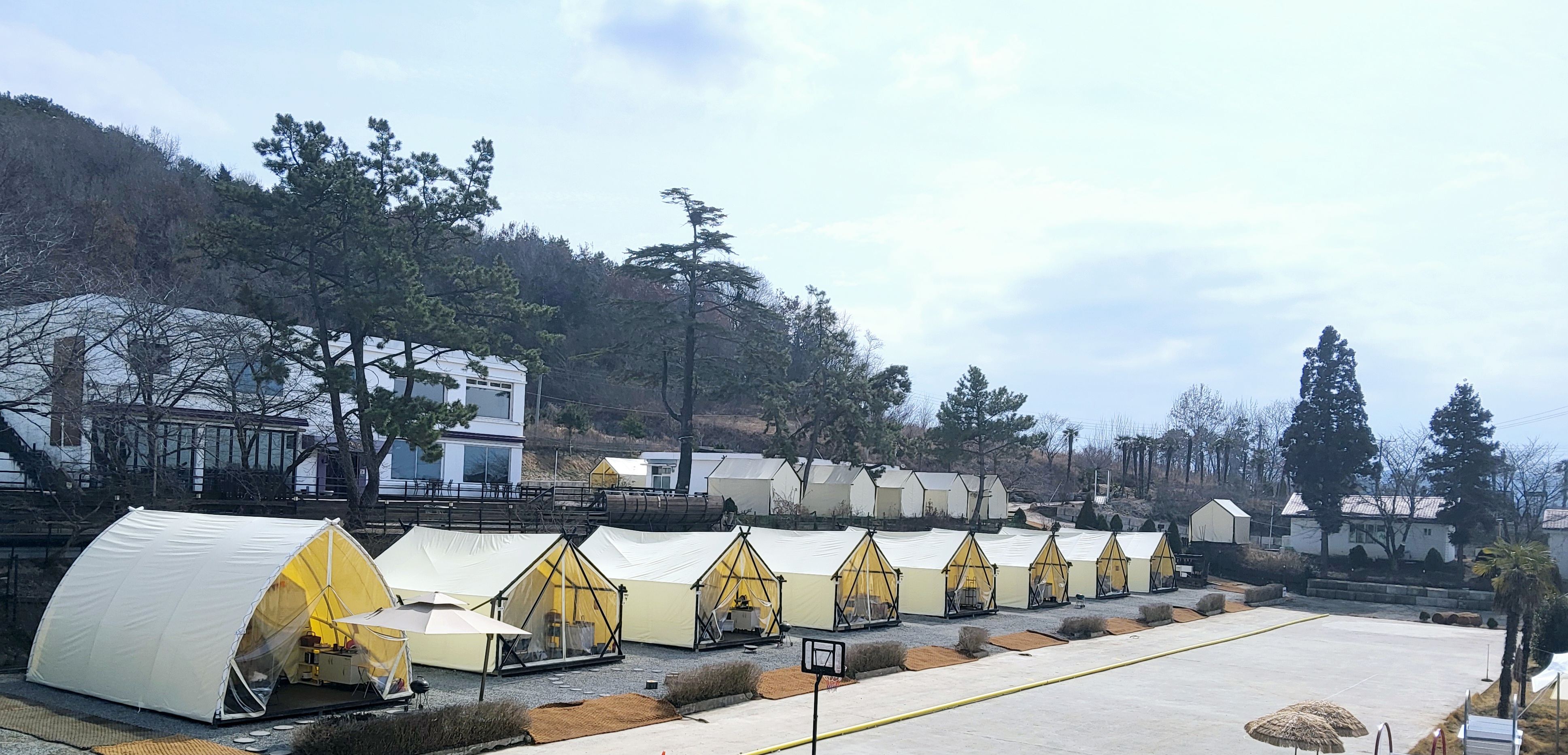 카페장년길40 전라 애견맛집