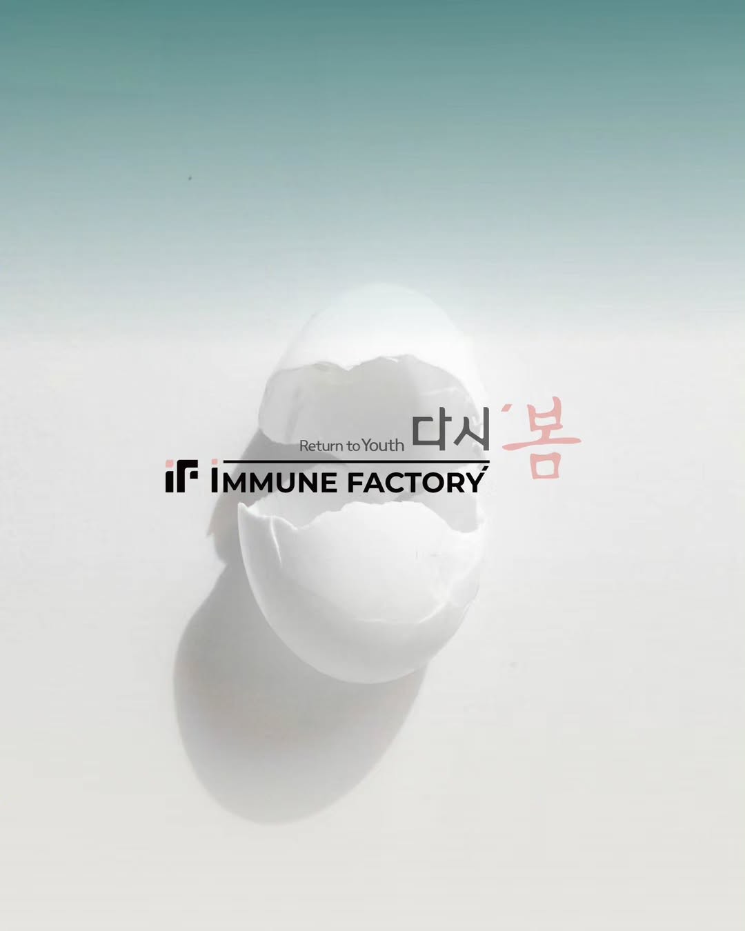 이뮨팩토리 클래식점 photo 8