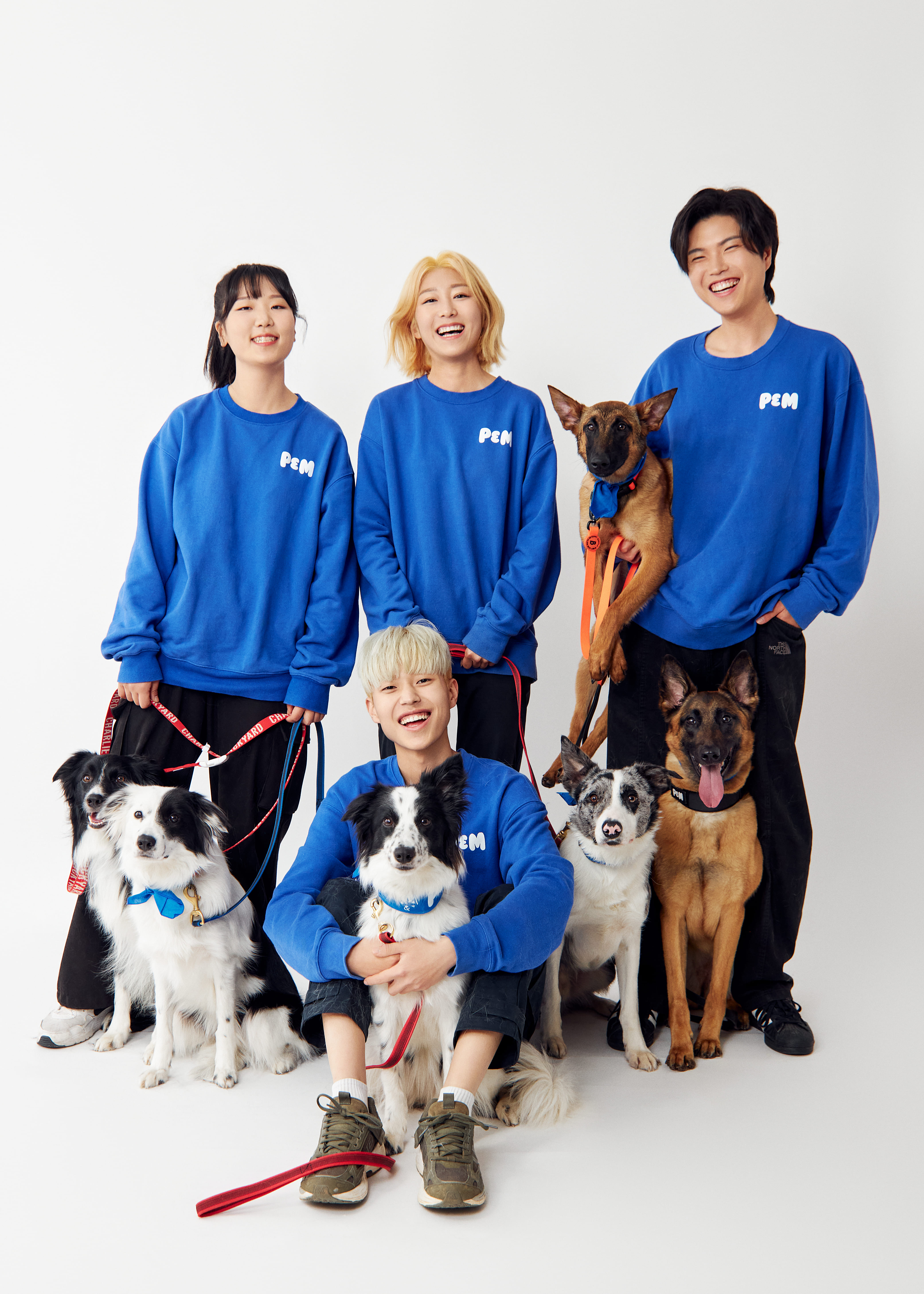 사진 3