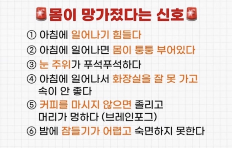 셀포랩 원티어 photo 5
