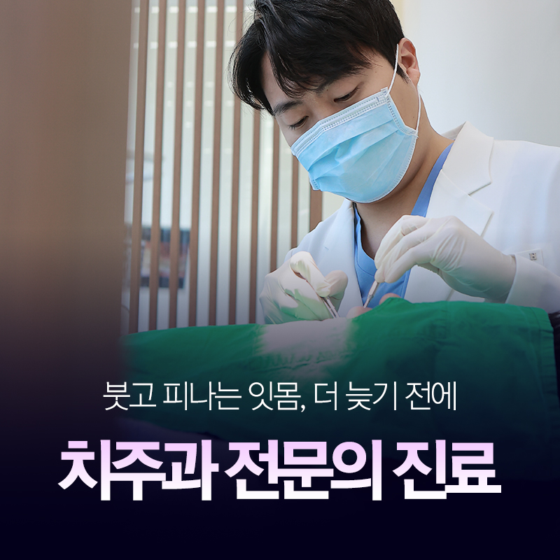 연세정인치과 대표 이미지