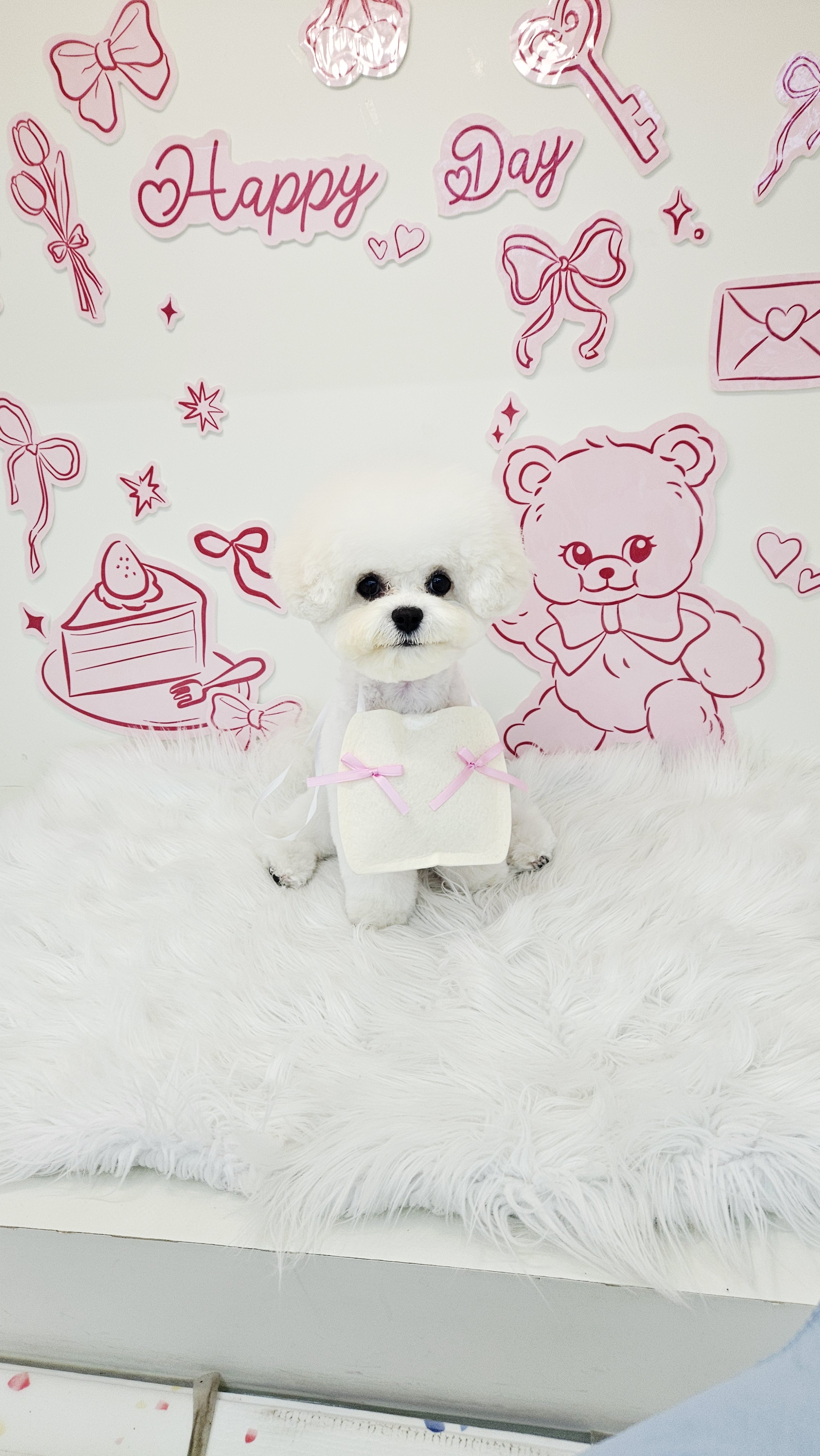 끌리개 대표 이미지