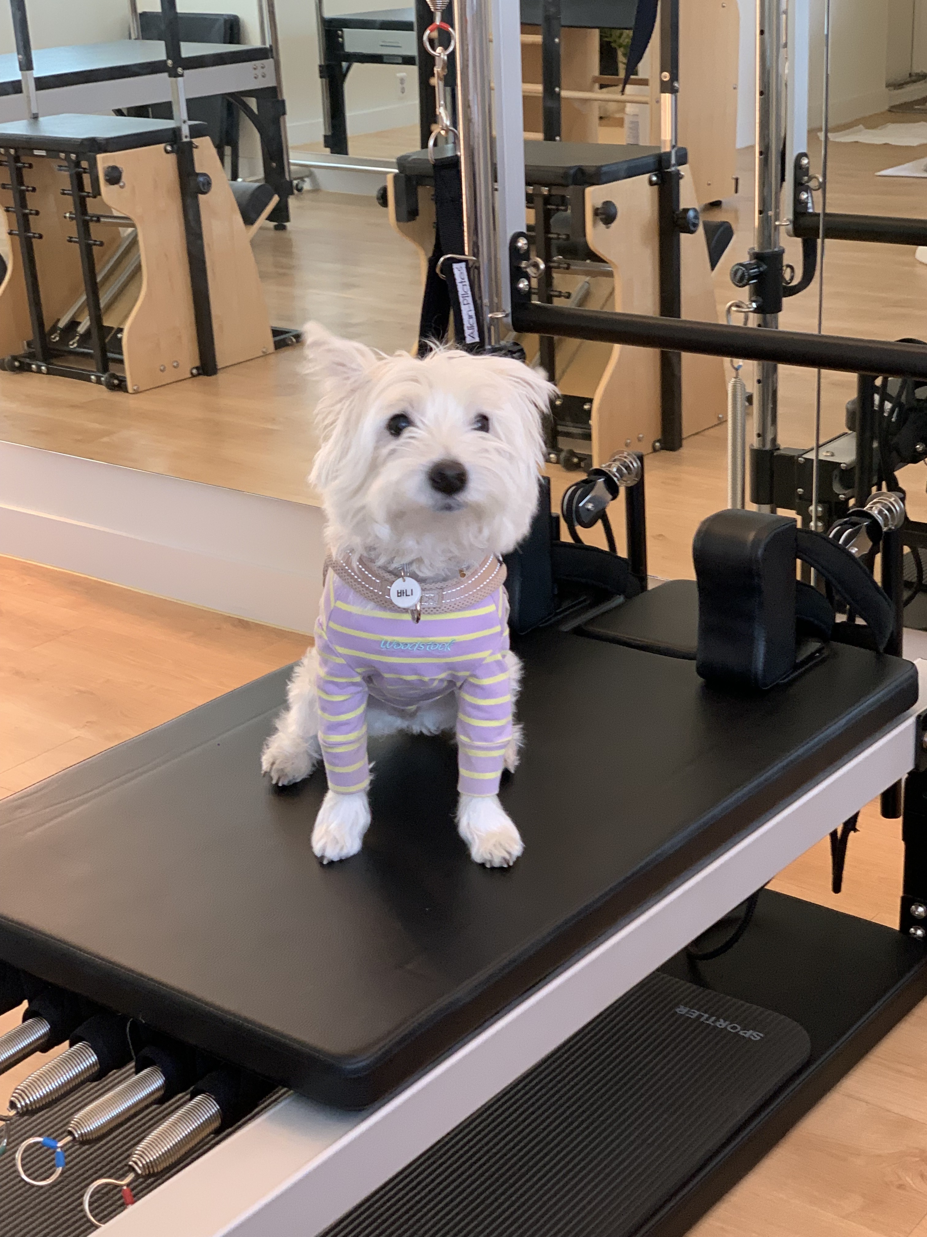 코아필라테스 대표 이미지